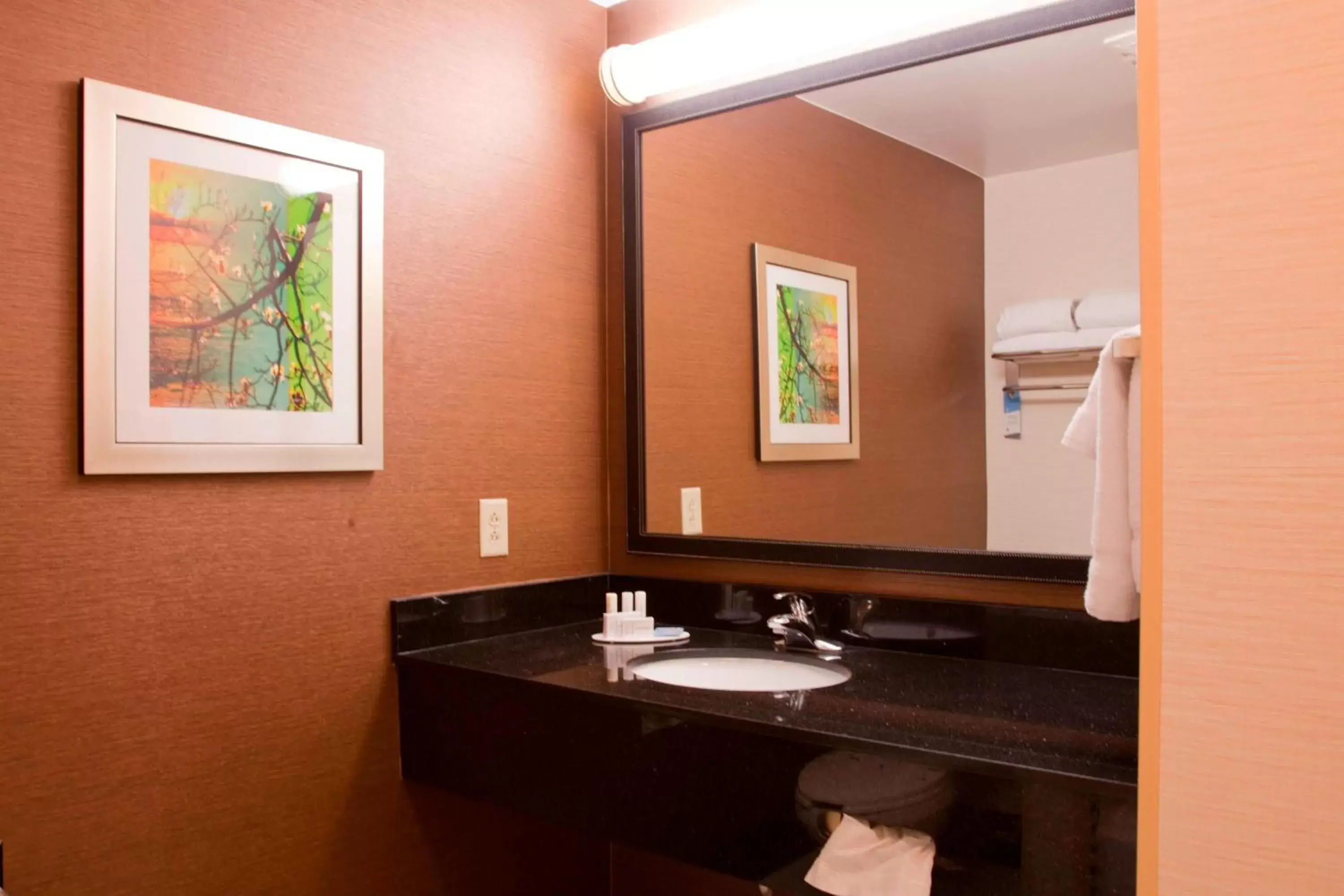 Bathroom in Fairfield Inn & Suites Bedford