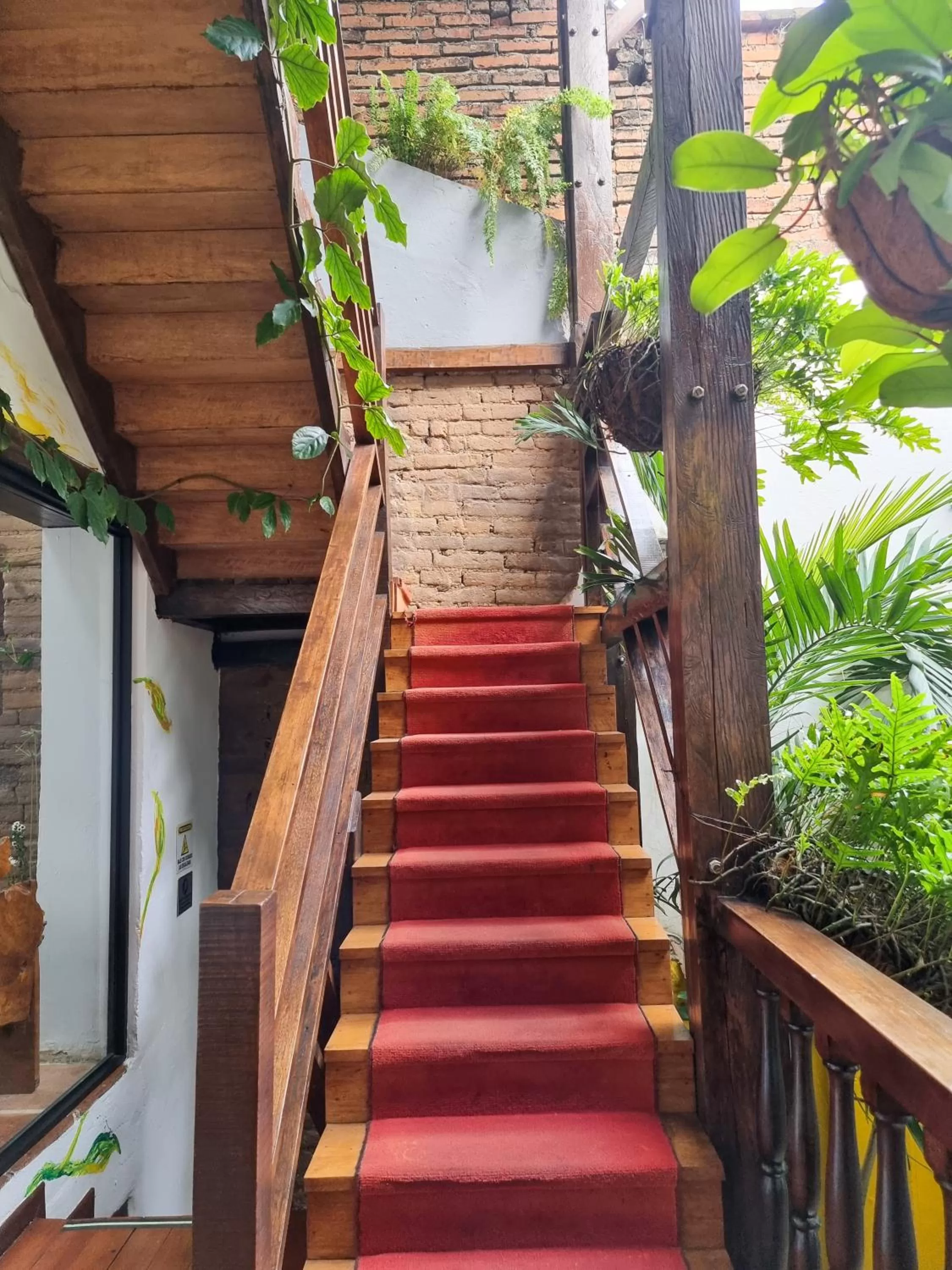 Garden view in Hotel Terraza San Antonio