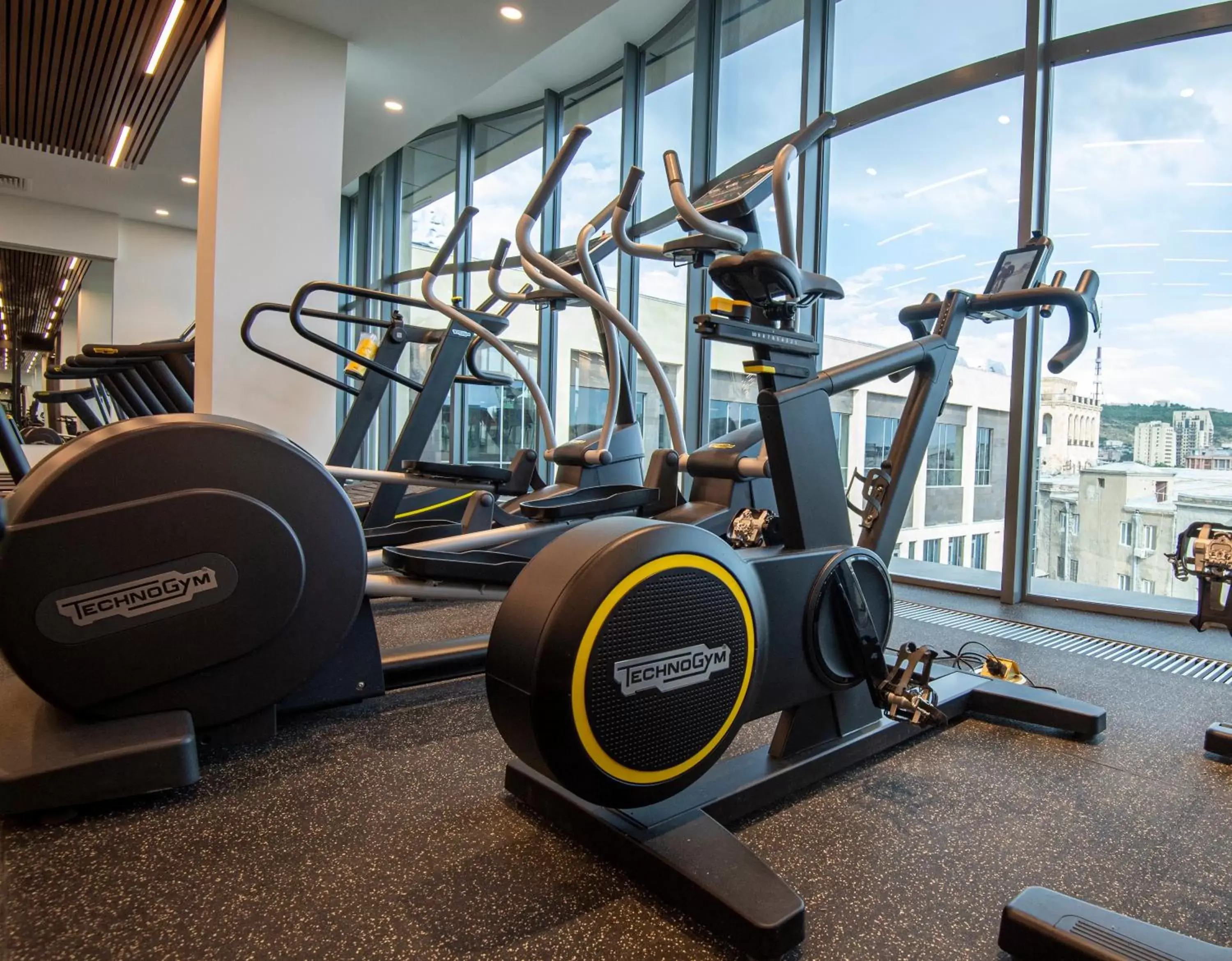 Fitness centre/facilities in Holiday Inn Yerevan - Republic Square by IHG Fitness centre/facilities in Holiday Inn Yerevan - Republic Square by IHG