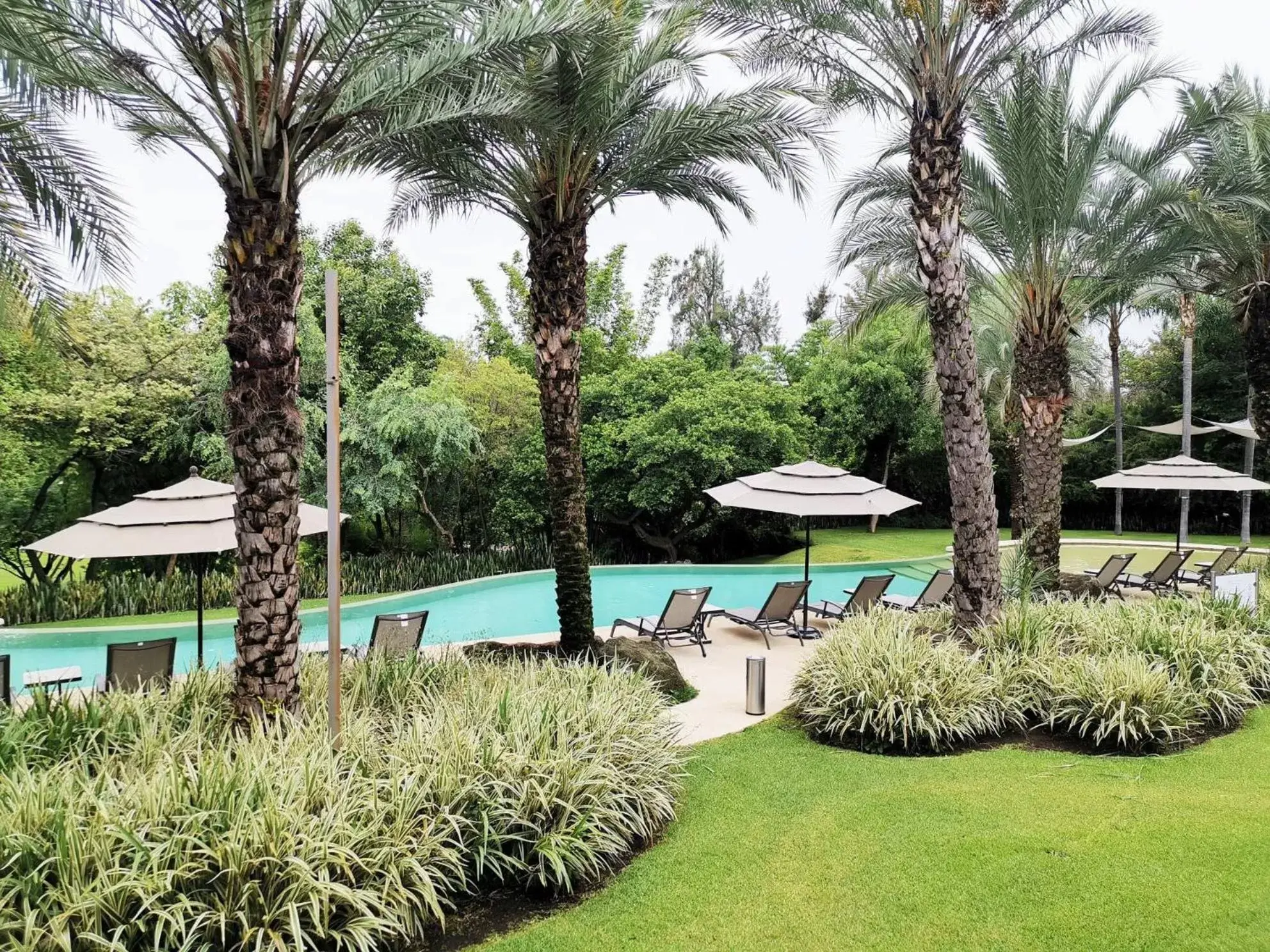 Pool view, Swimming Pool in Huayacán Cuernavaca Curamoria Collection