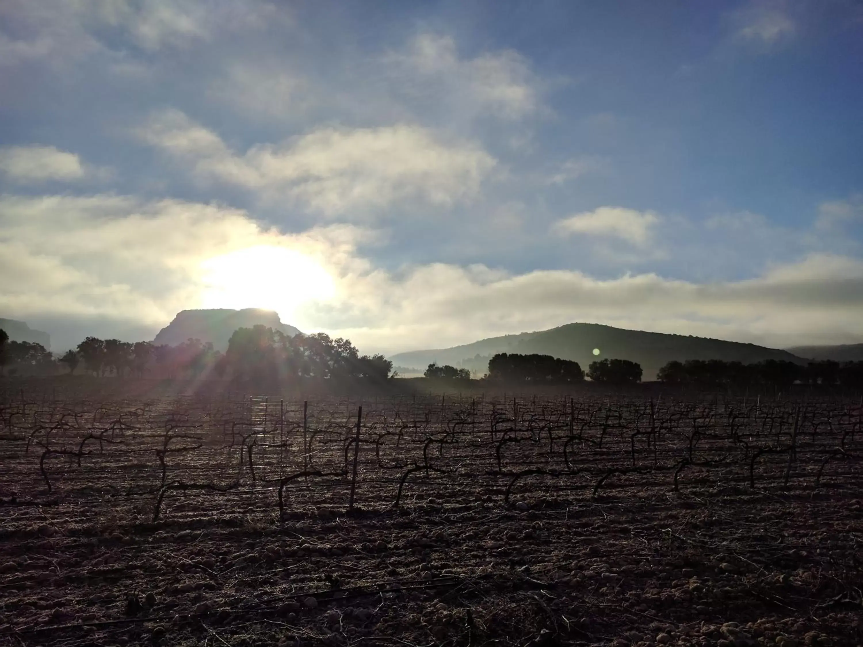 Natural landscape in Finca El Romeral