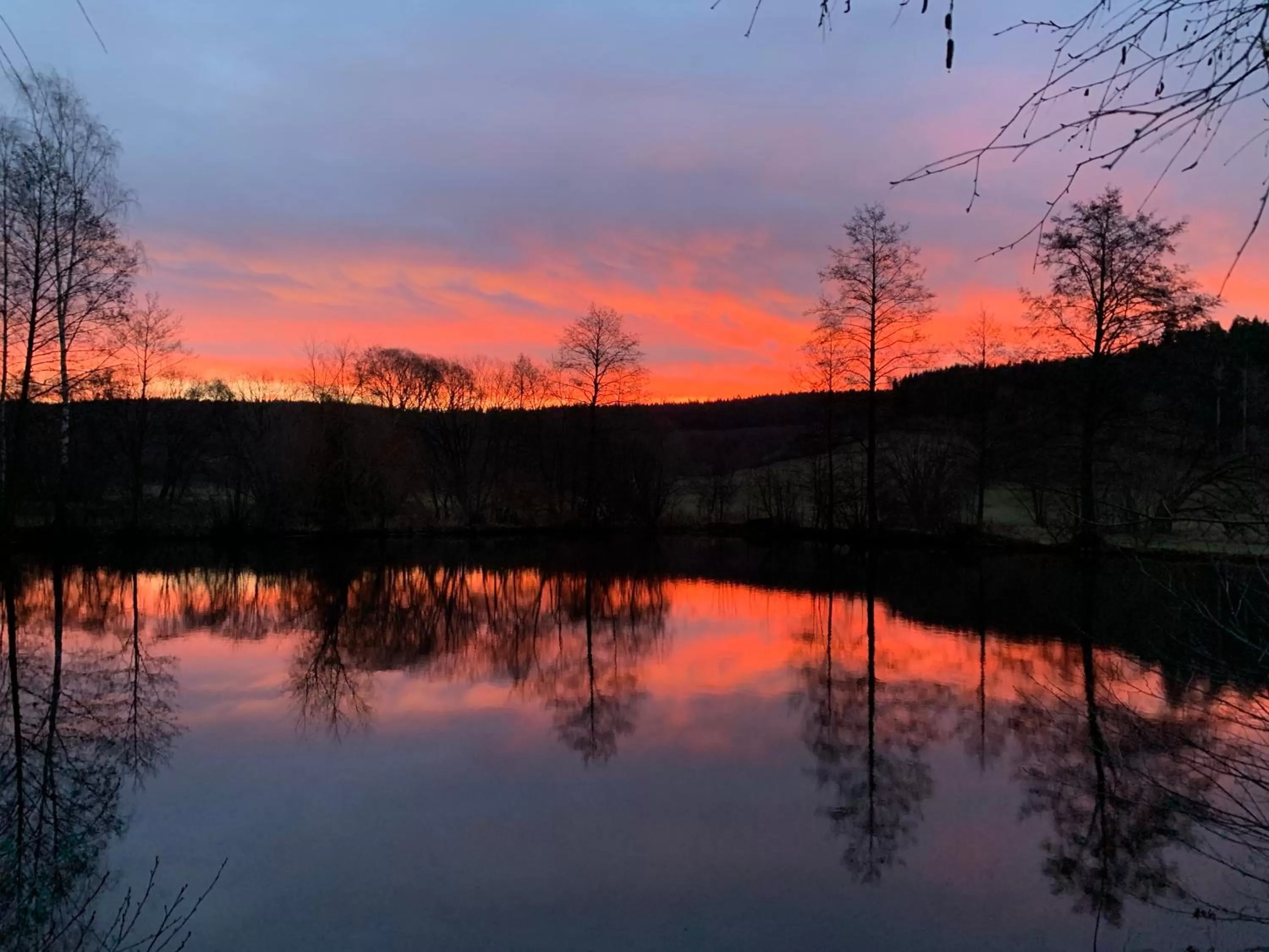 Natural landscape in Landgasthof Wetteraperle