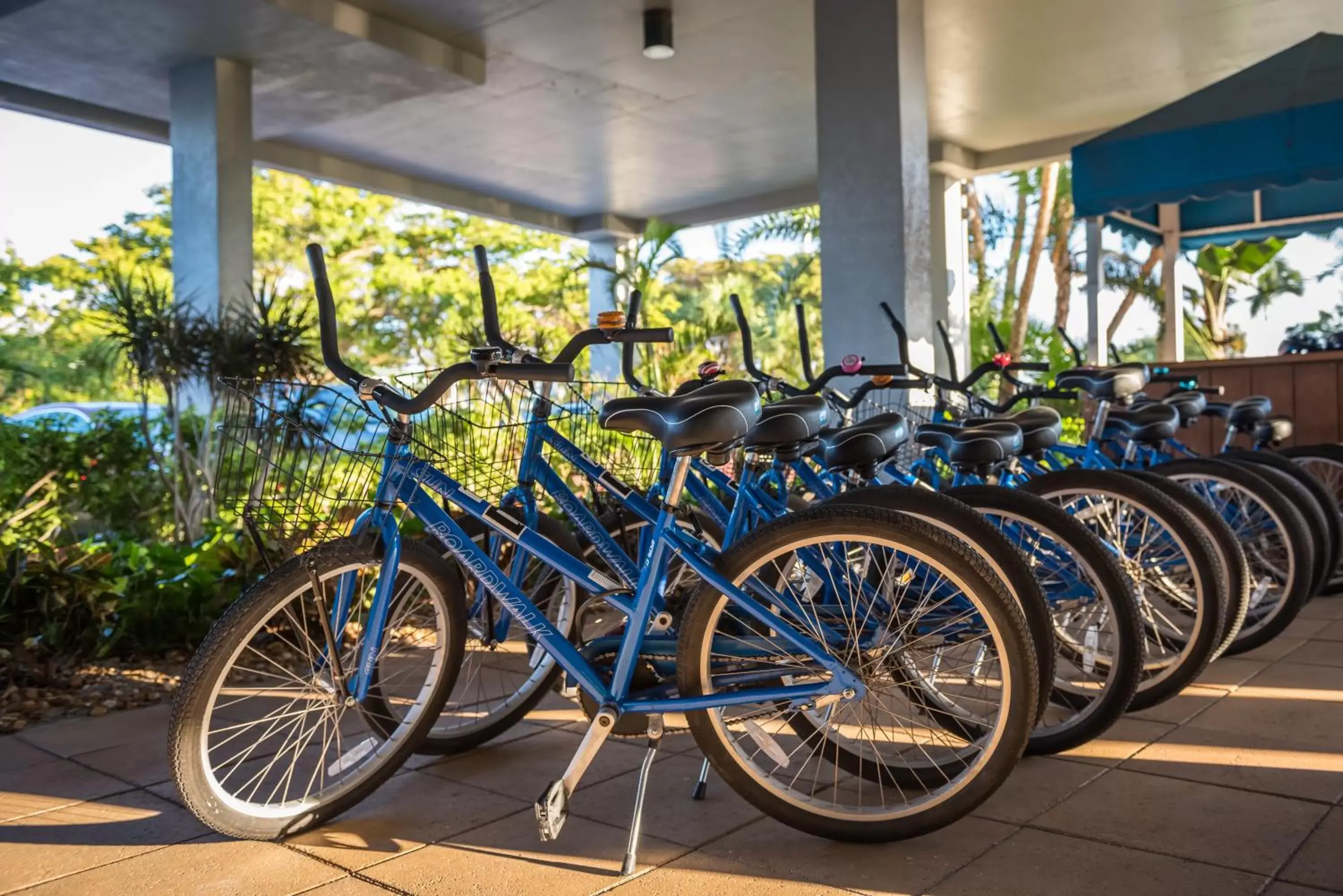 Activities, Biking in Diamond Head Beach Resort