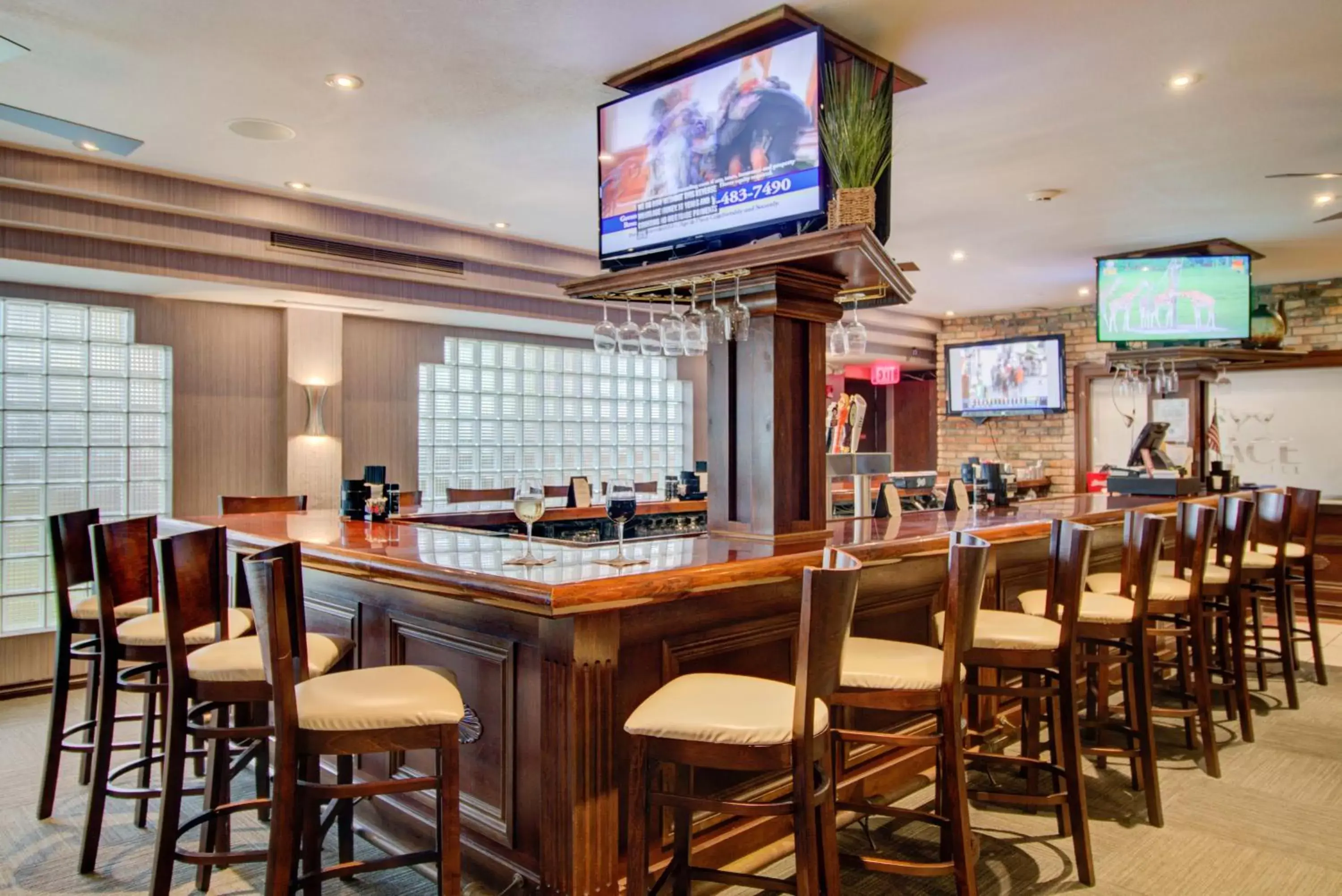 Lounge or bar in Boca Plaza