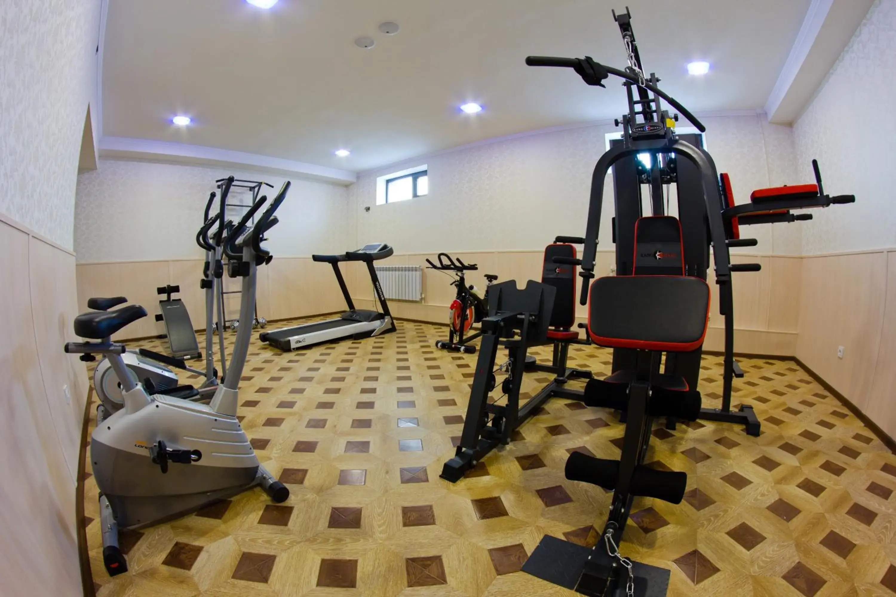 Fitness centre/facilities, Fitness Center/Facilities in Plaza Hotel Bishkek