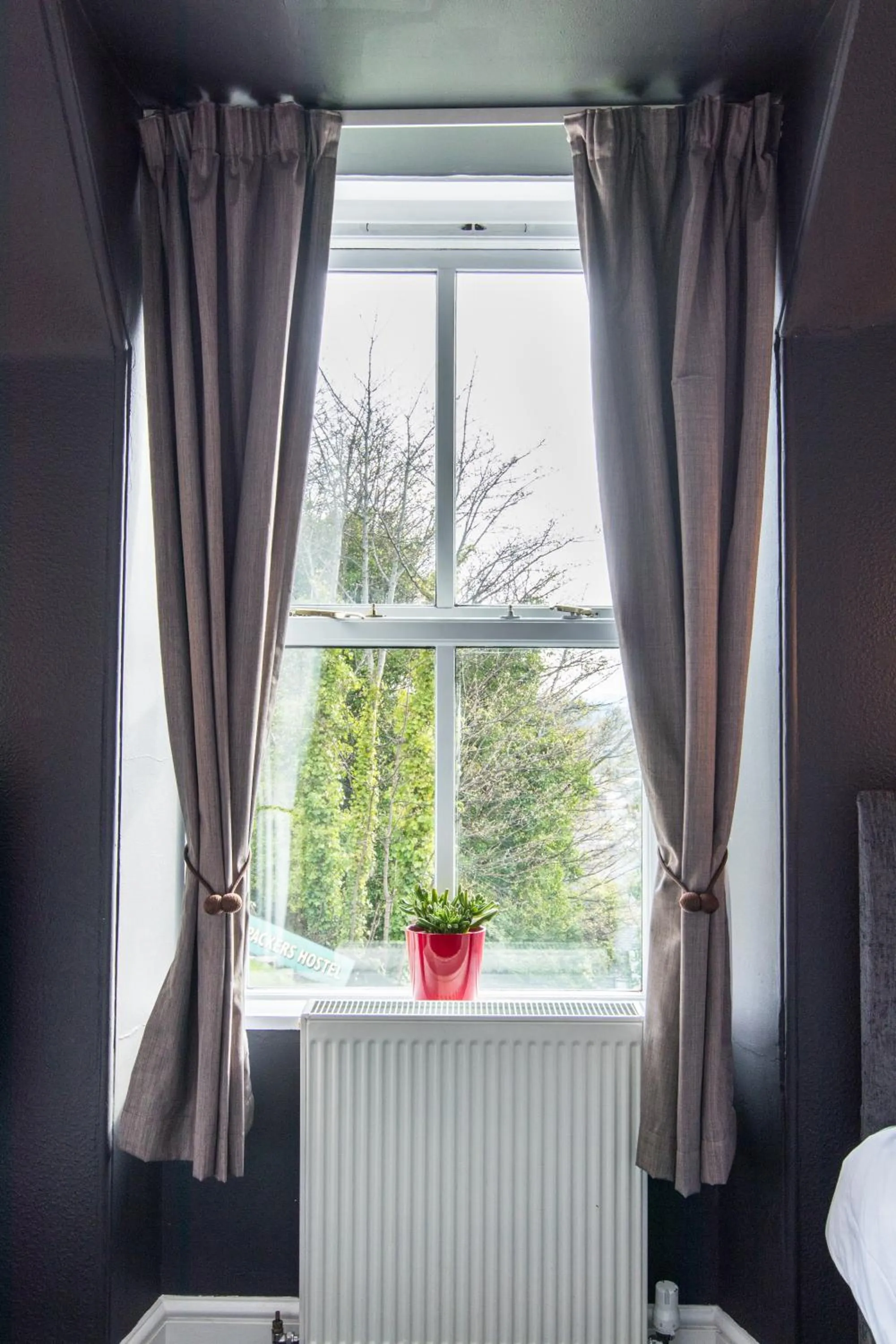 Bedroom in Bazpackers