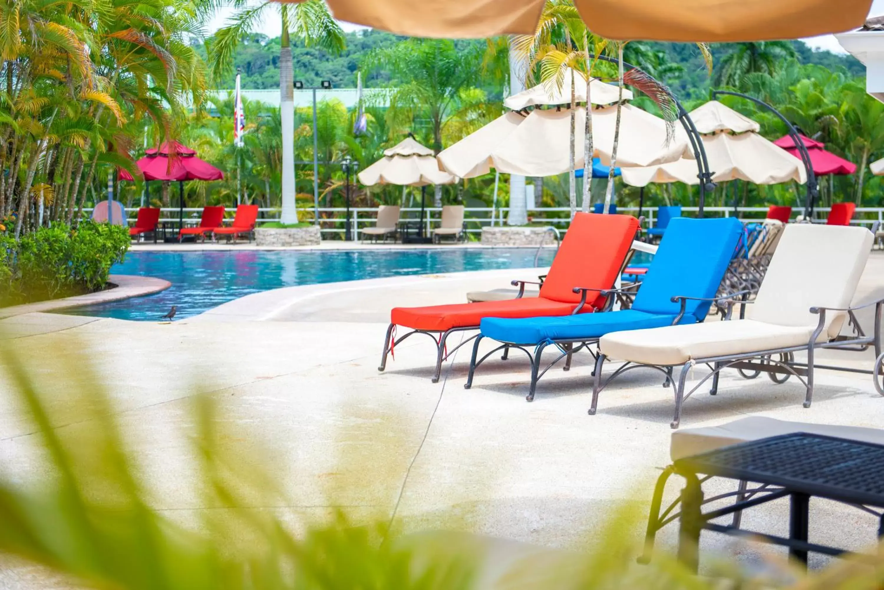 Patio in Hotel Casa Roland Golfito Resort