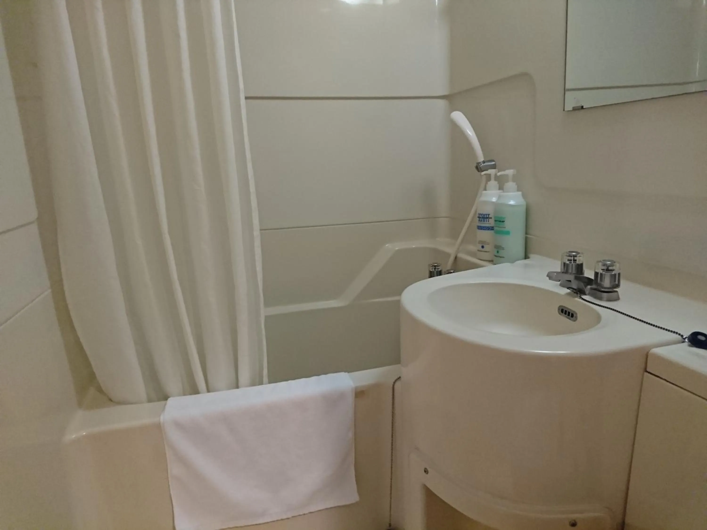 Bathroom in Toyohashi Station Hotel