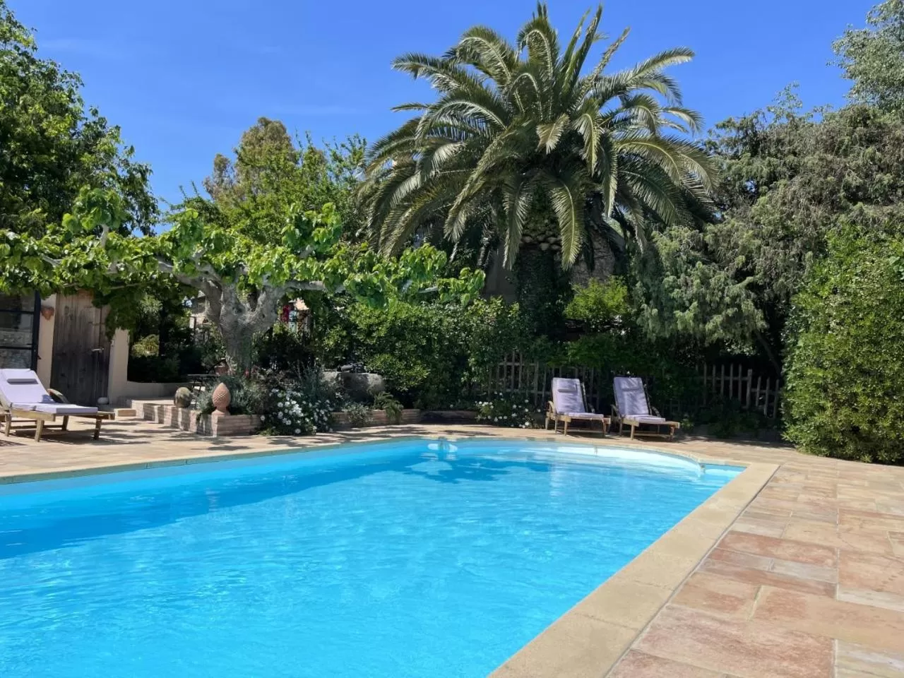 Swimming Pool in LA MAISON DE JUSTINE