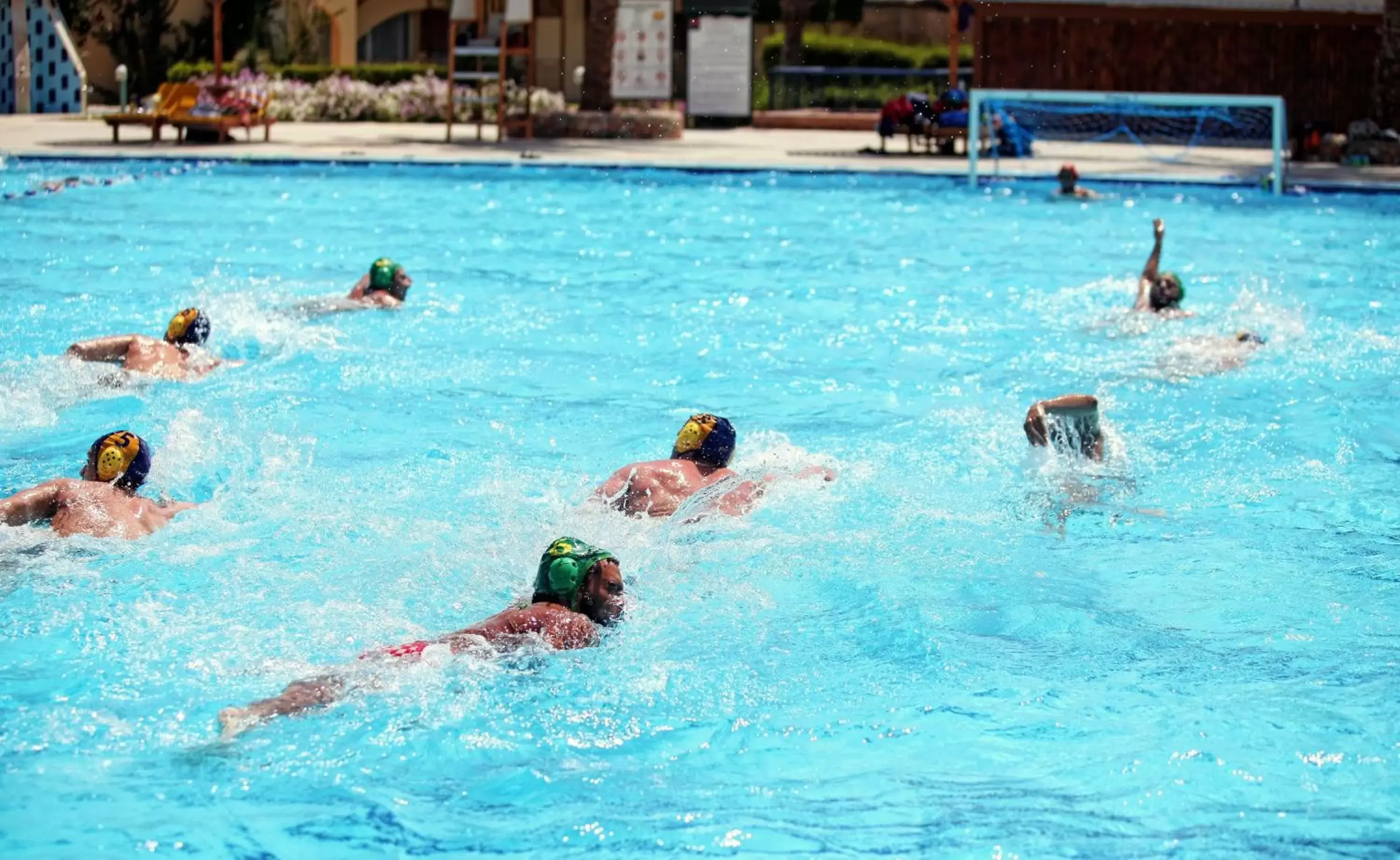 People, Swimming Pool in Desert Rose Resort