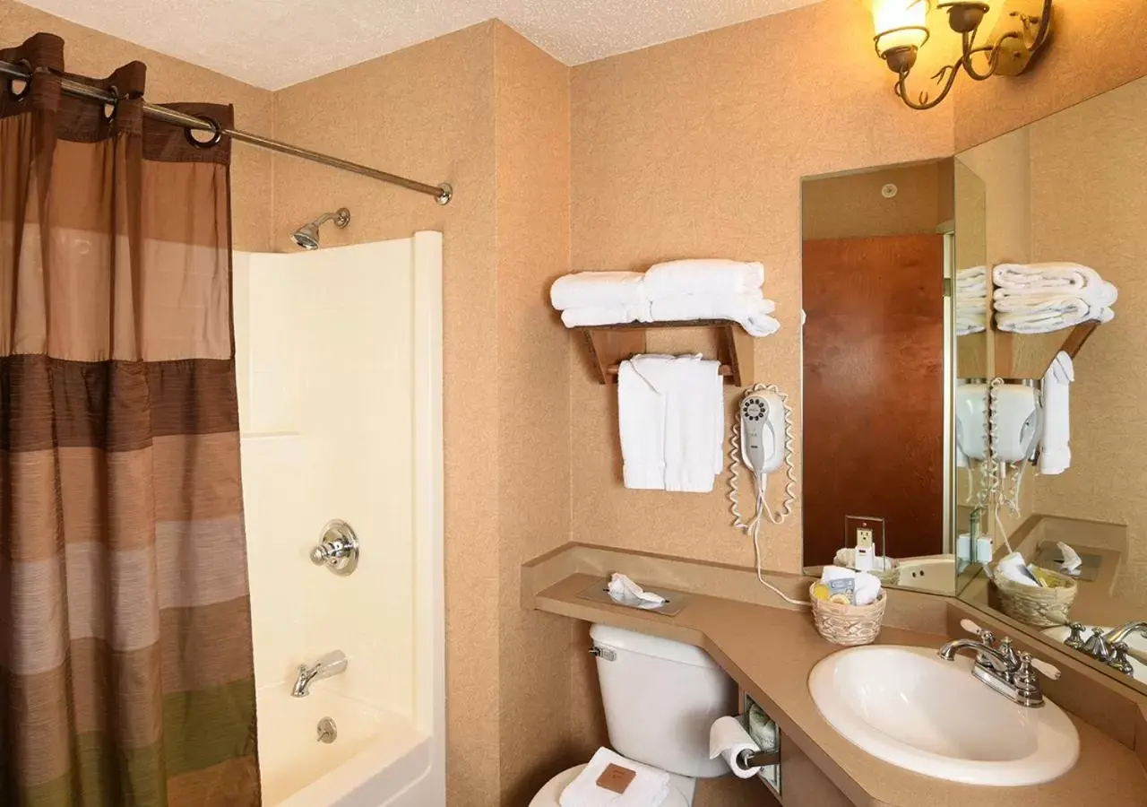 Shower, Bathroom in Stoney Creek Hotel Wausau - Rothschild