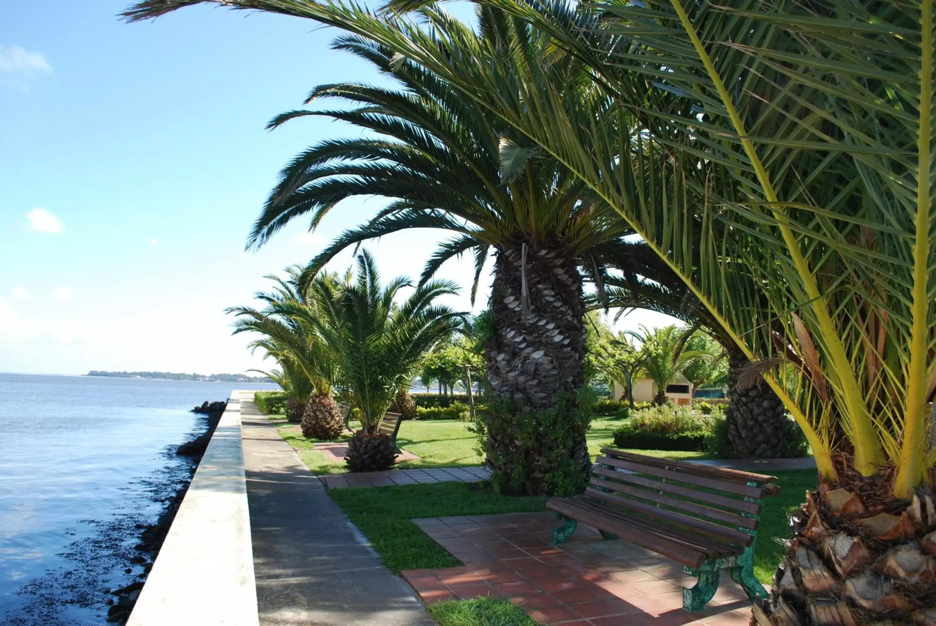 Swimming pool in Riabela Inn