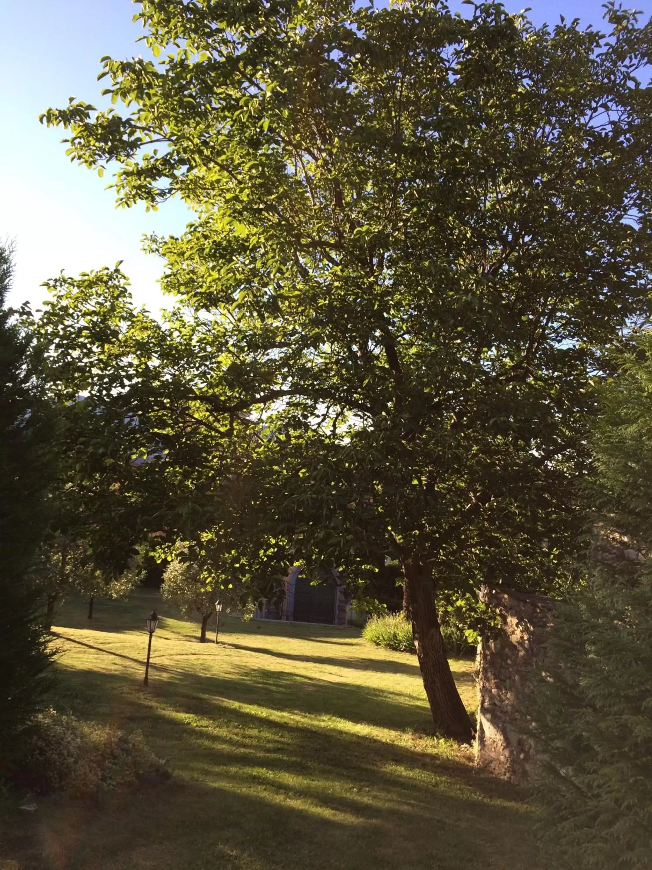 Horse-riding, Garden in Castello di Brusata Apartment