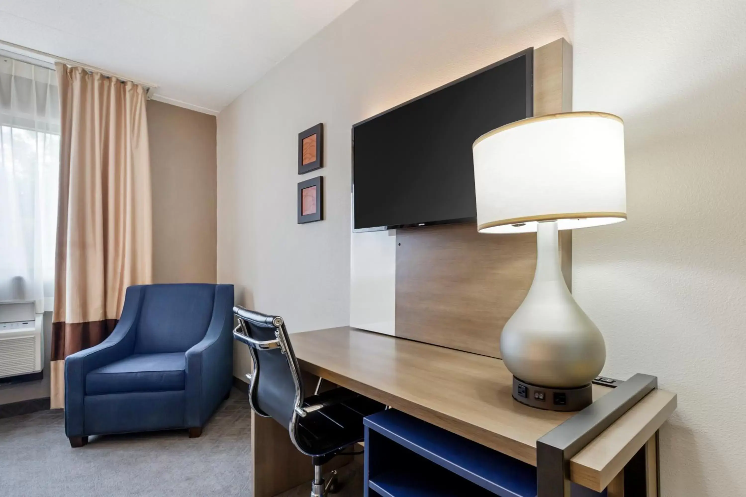 hair dresser, TV/Entertainment Center in Comfort Inn Herndon-Reston