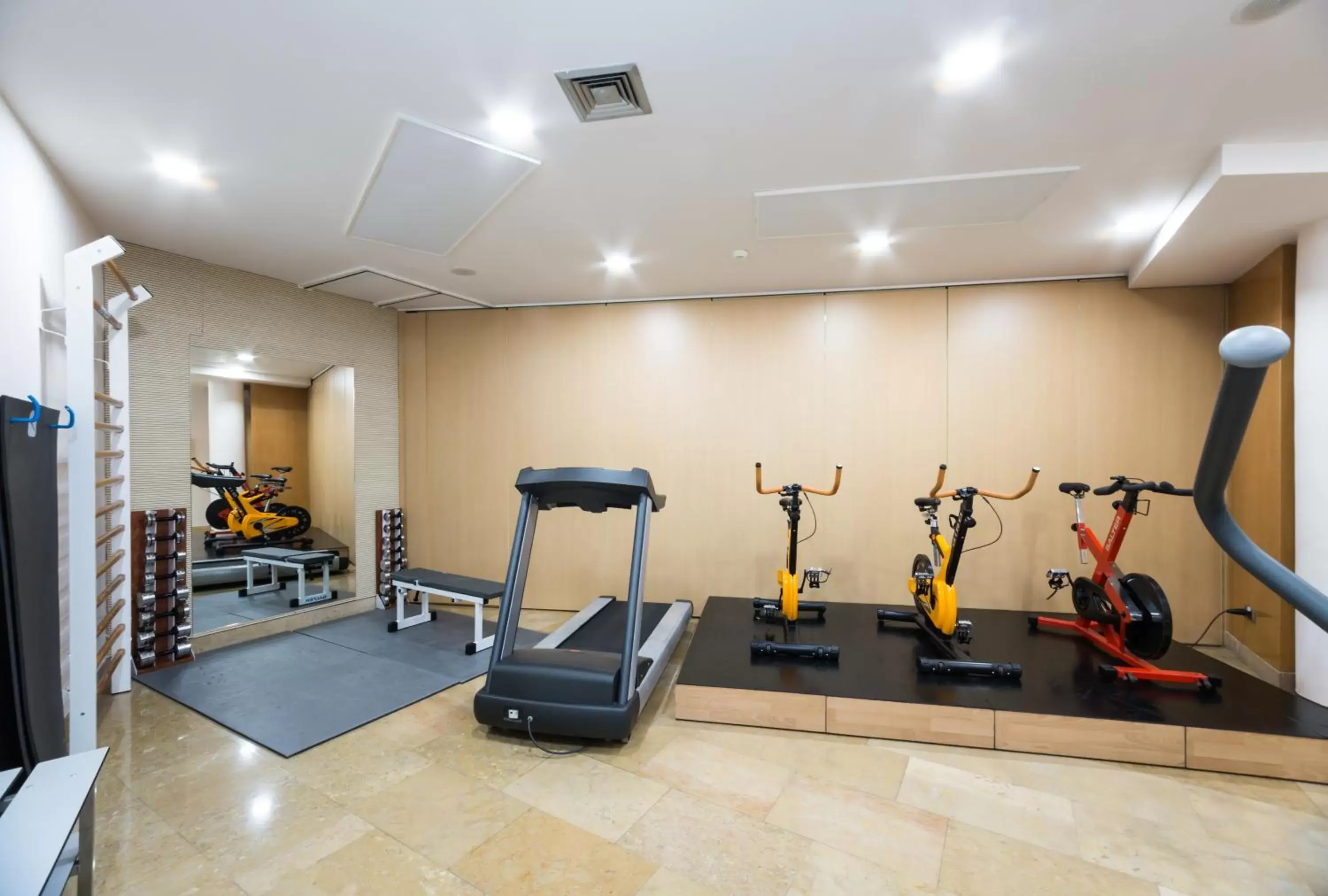 Fitness centre/facilities in Hotel Palacio de Aiete Fitness centre/facilities in Hotel Palacio de Aiete