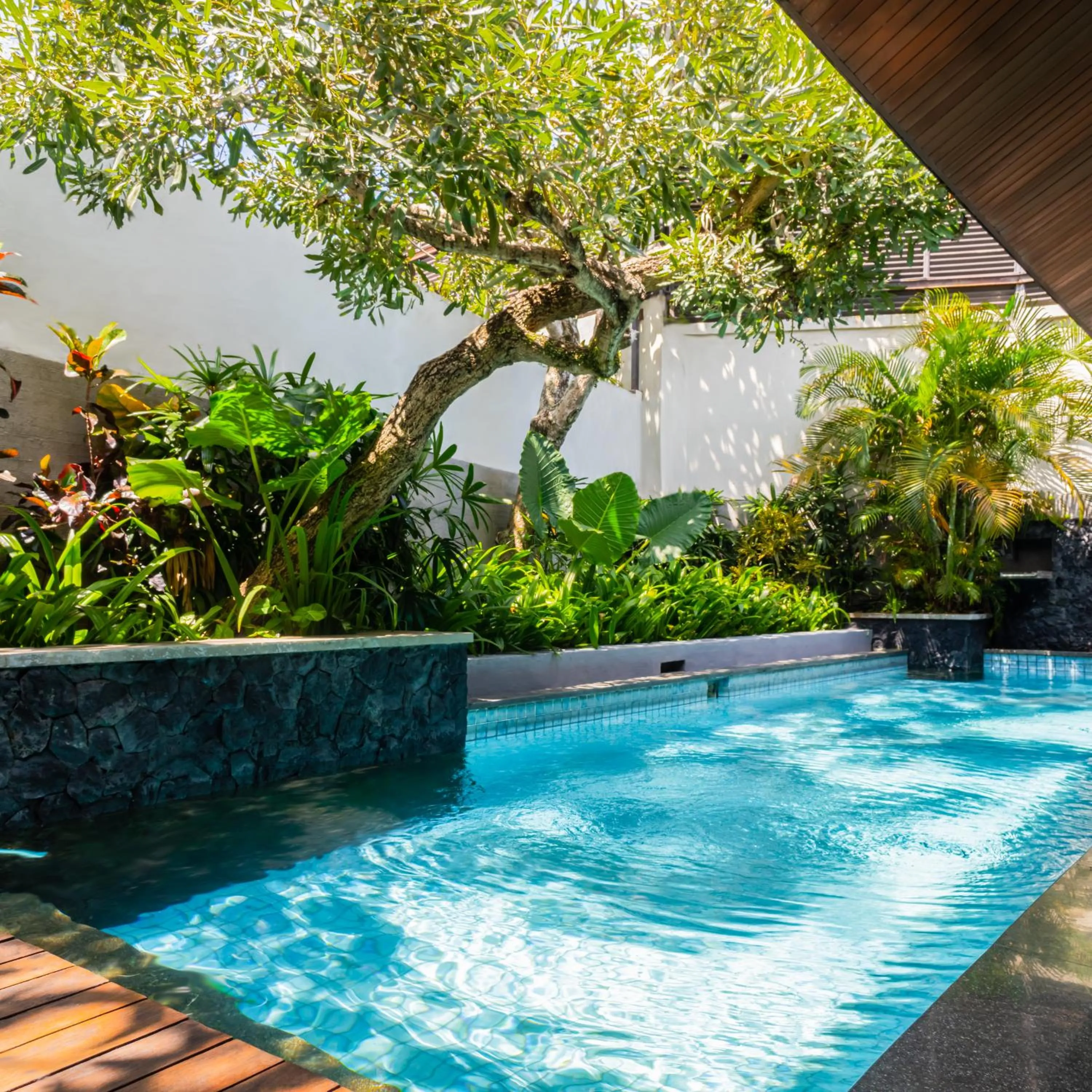 Swimming pool in Royal Kamuela Villas & Suites at Monkey Forest Ubud - Adult Only