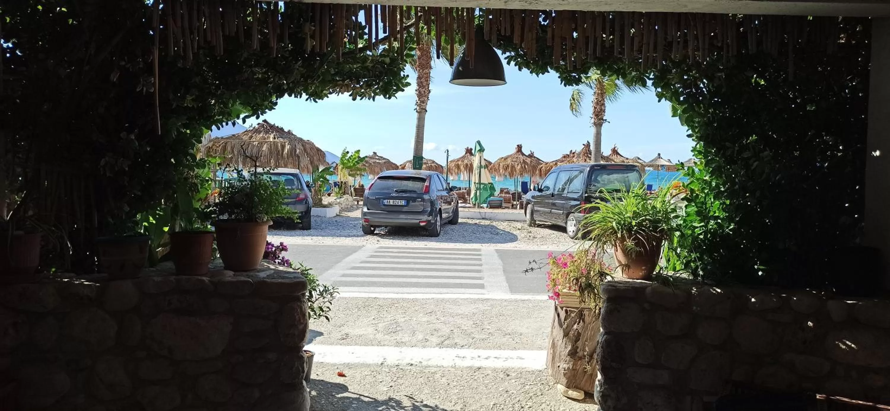 Maxola's Dream Orikum