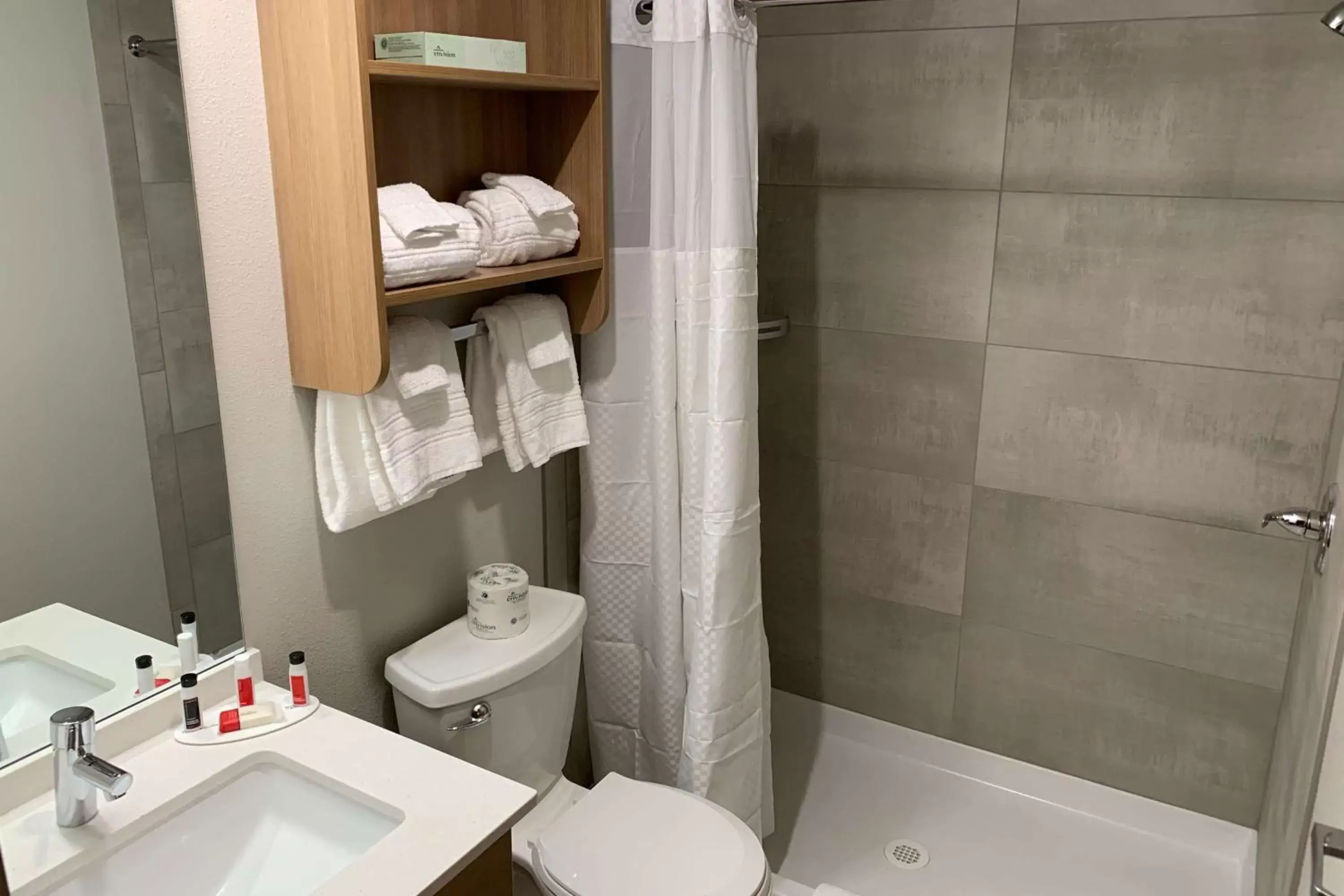 Bathroom in Microtel Inn & Suites by Wyndham Georgetown Lake