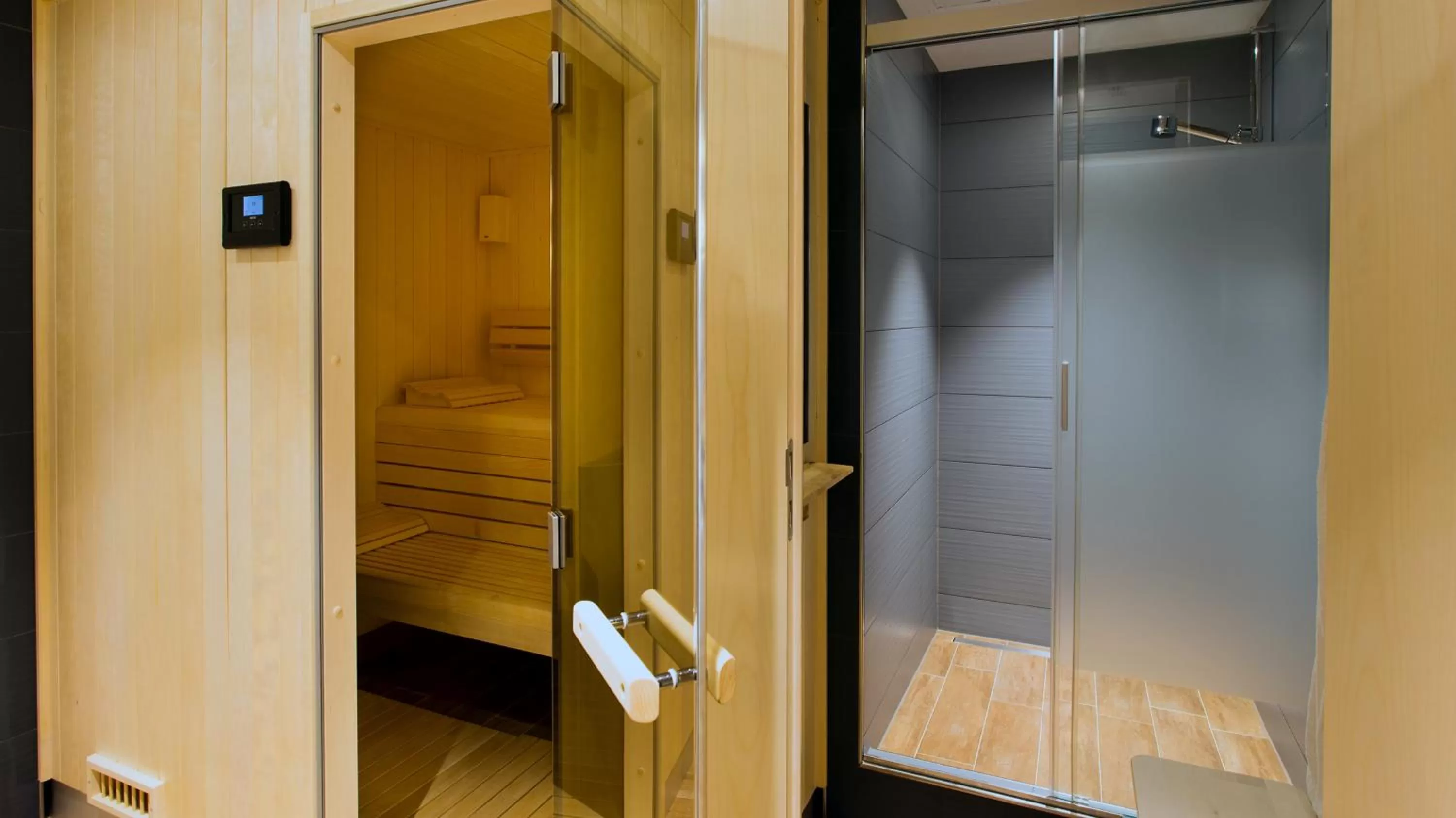 Sauna in Mövenpick Hotel Geneva