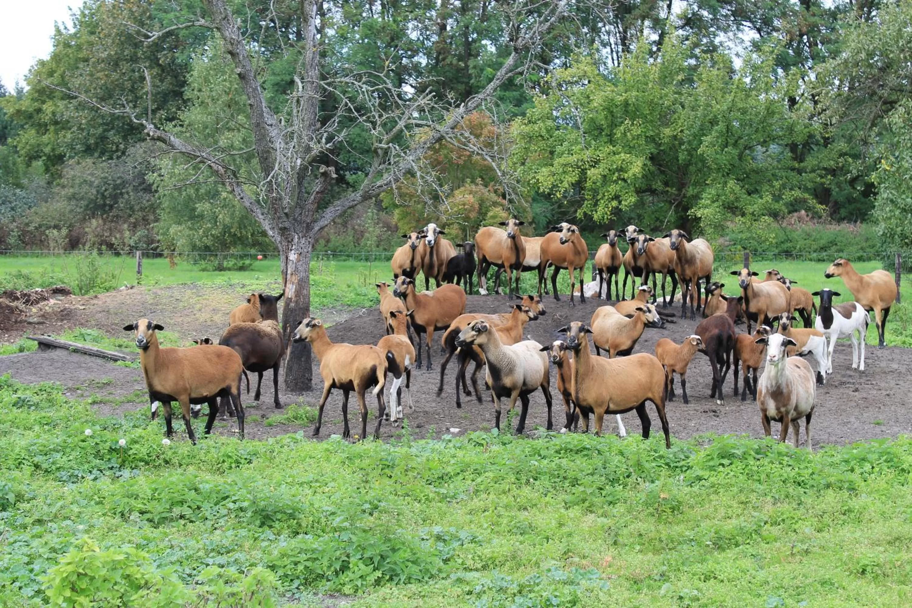 Day in Flair Hotel Reuner