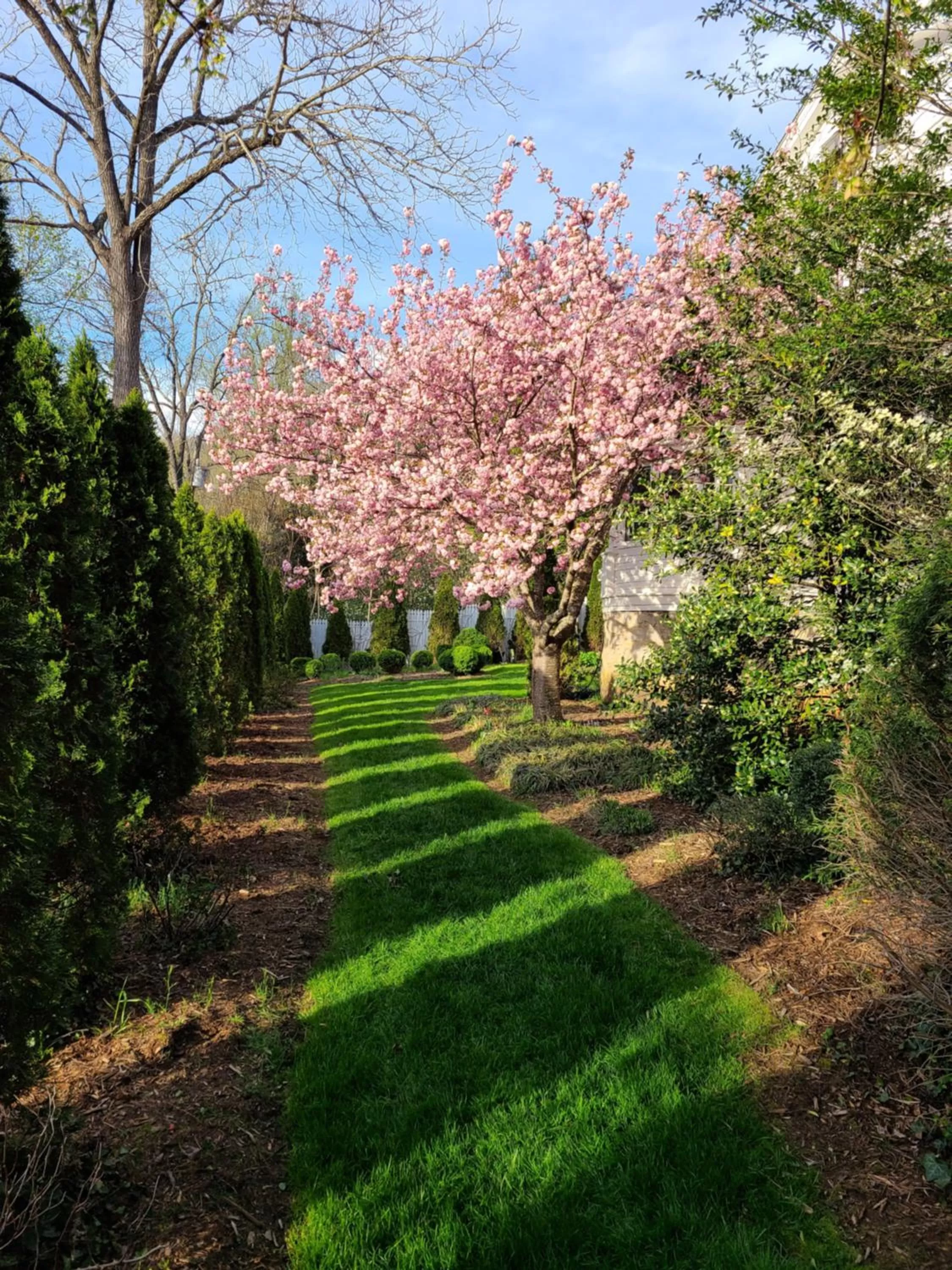 Albemarle Inn - Asheville