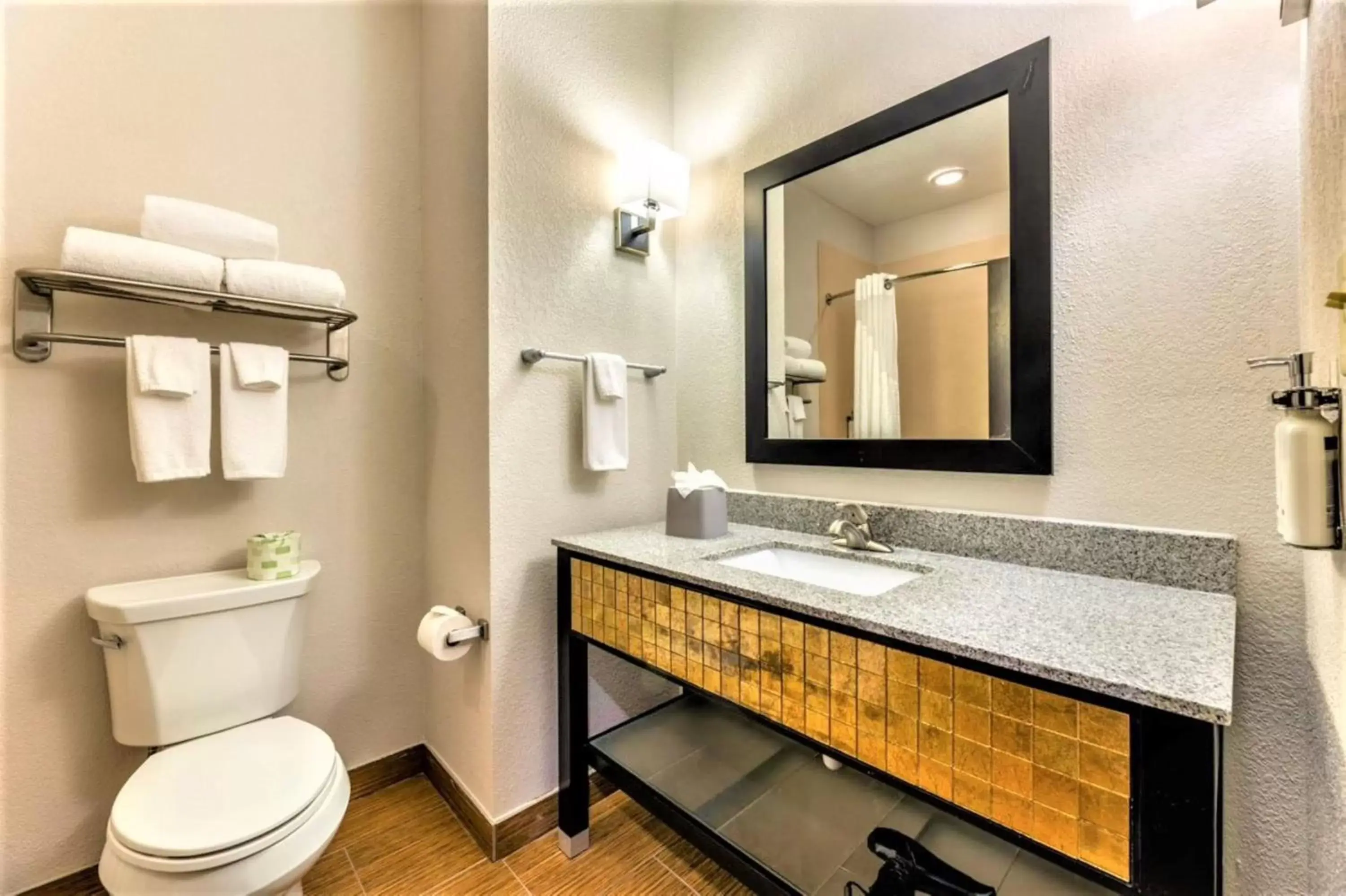 Bedroom, Bathroom in Holiday Inn Express & Suites Houston East - Baytown, an IHG Hotel