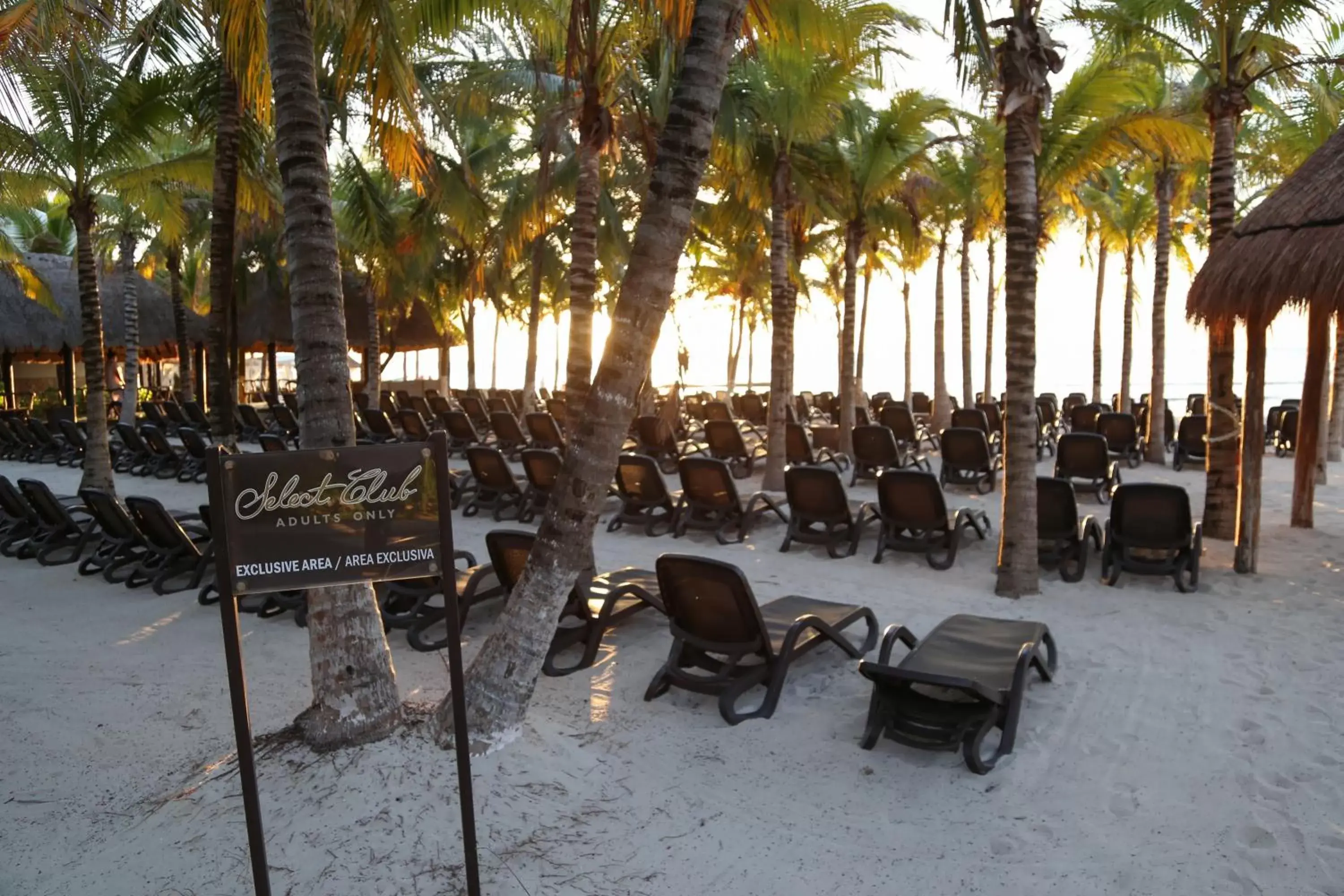 Beach in Select Club at Sandos Caracol All Inclusive - Adults Only Area