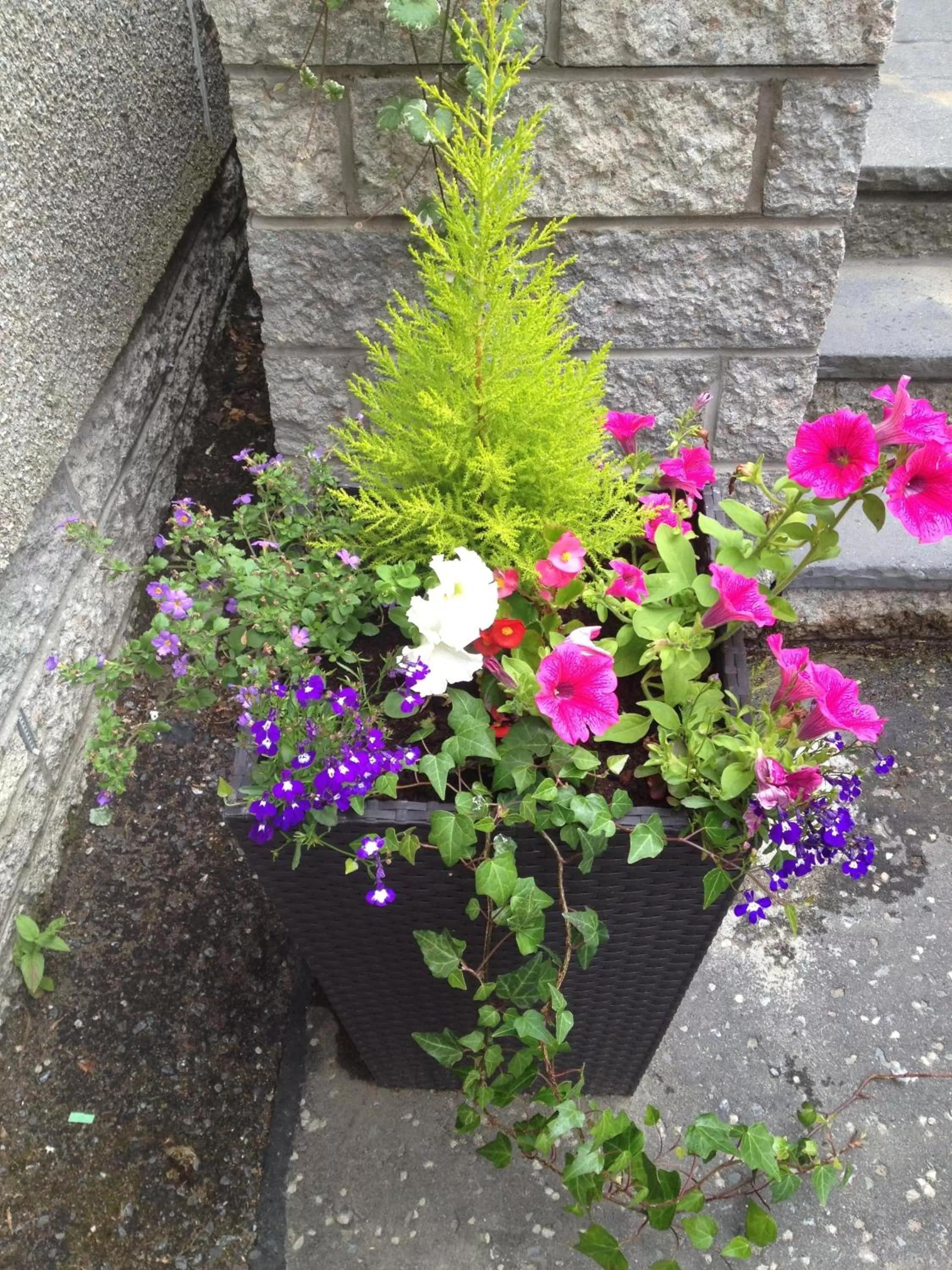 Facade/entrance in Rosehill Guest House