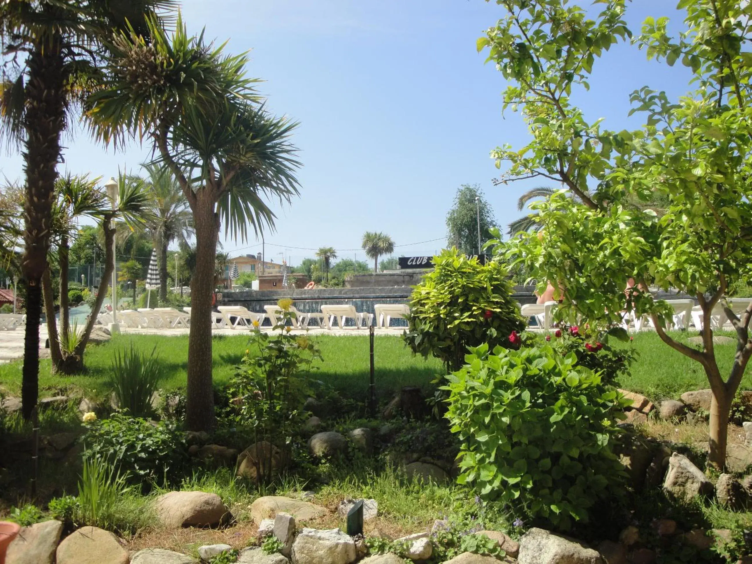 Garden in Hotel Esplendid