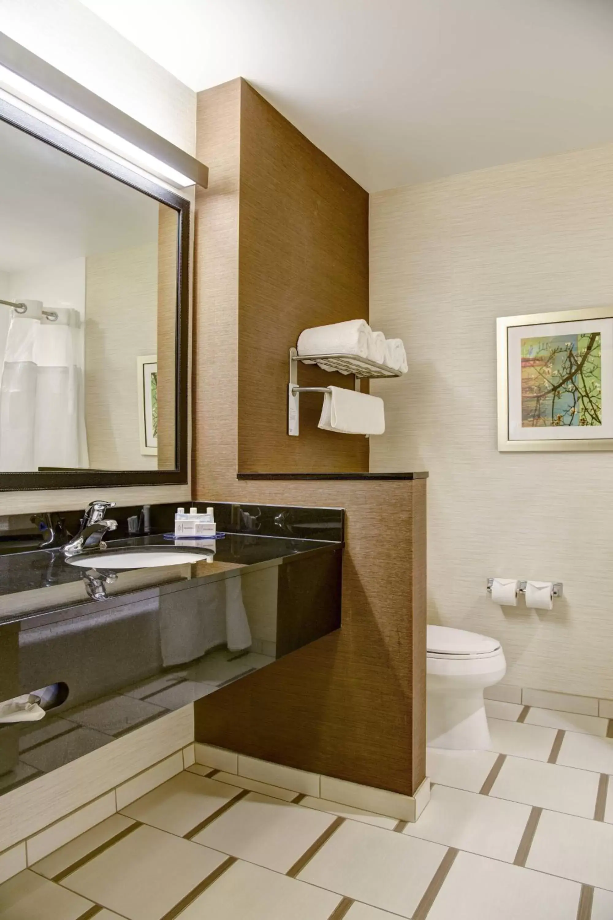 Bathroom in Fairfield Inn & Suites by Marriott Rochester Mayo Clinic Area/Saint Marys