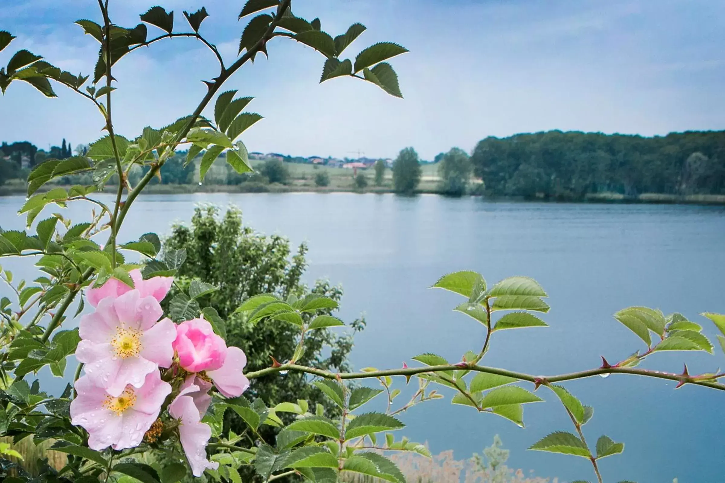 Lake view, Natural Landscape in Le Ali Del Frassino