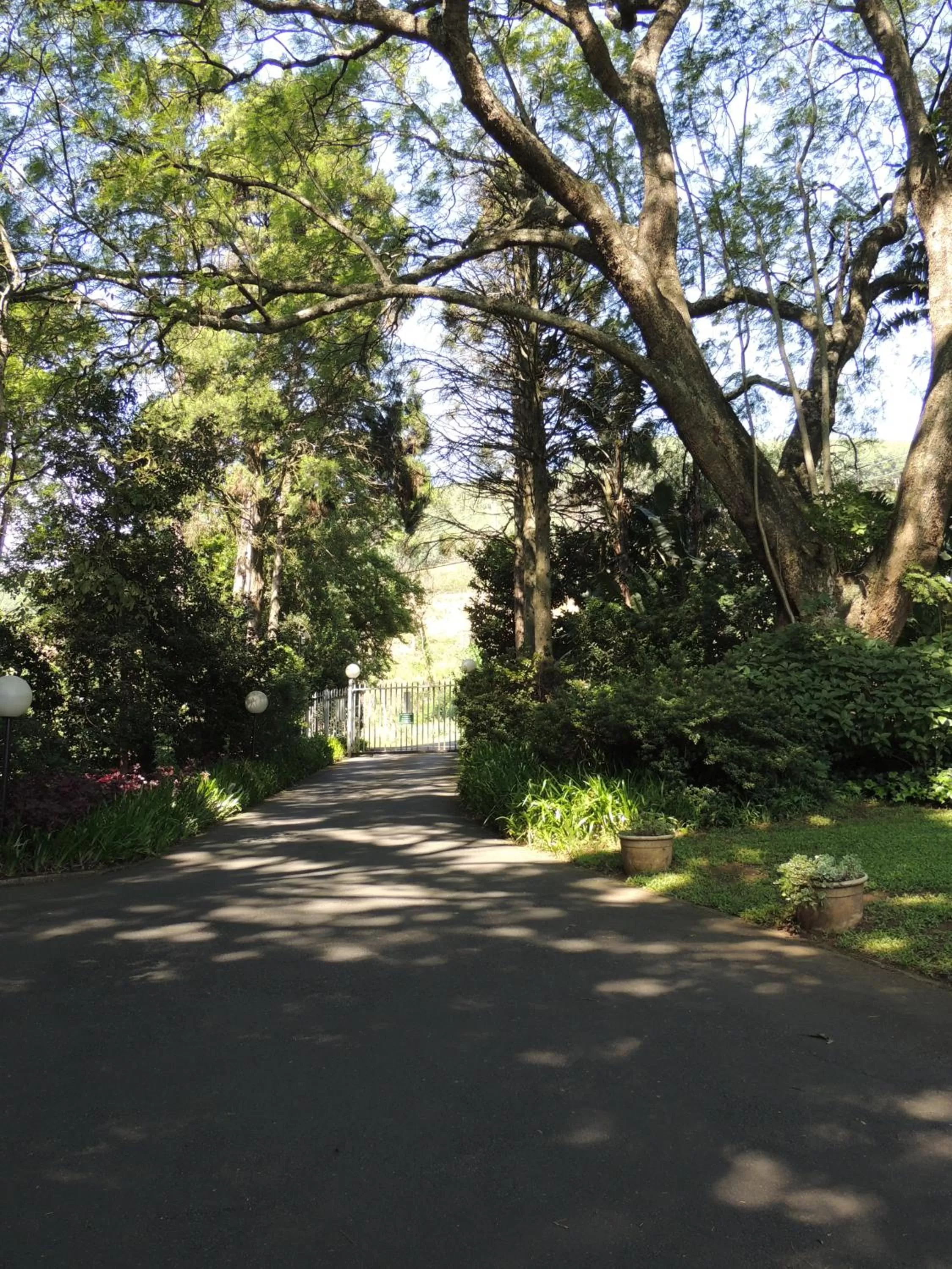 Garden in Dunranch House