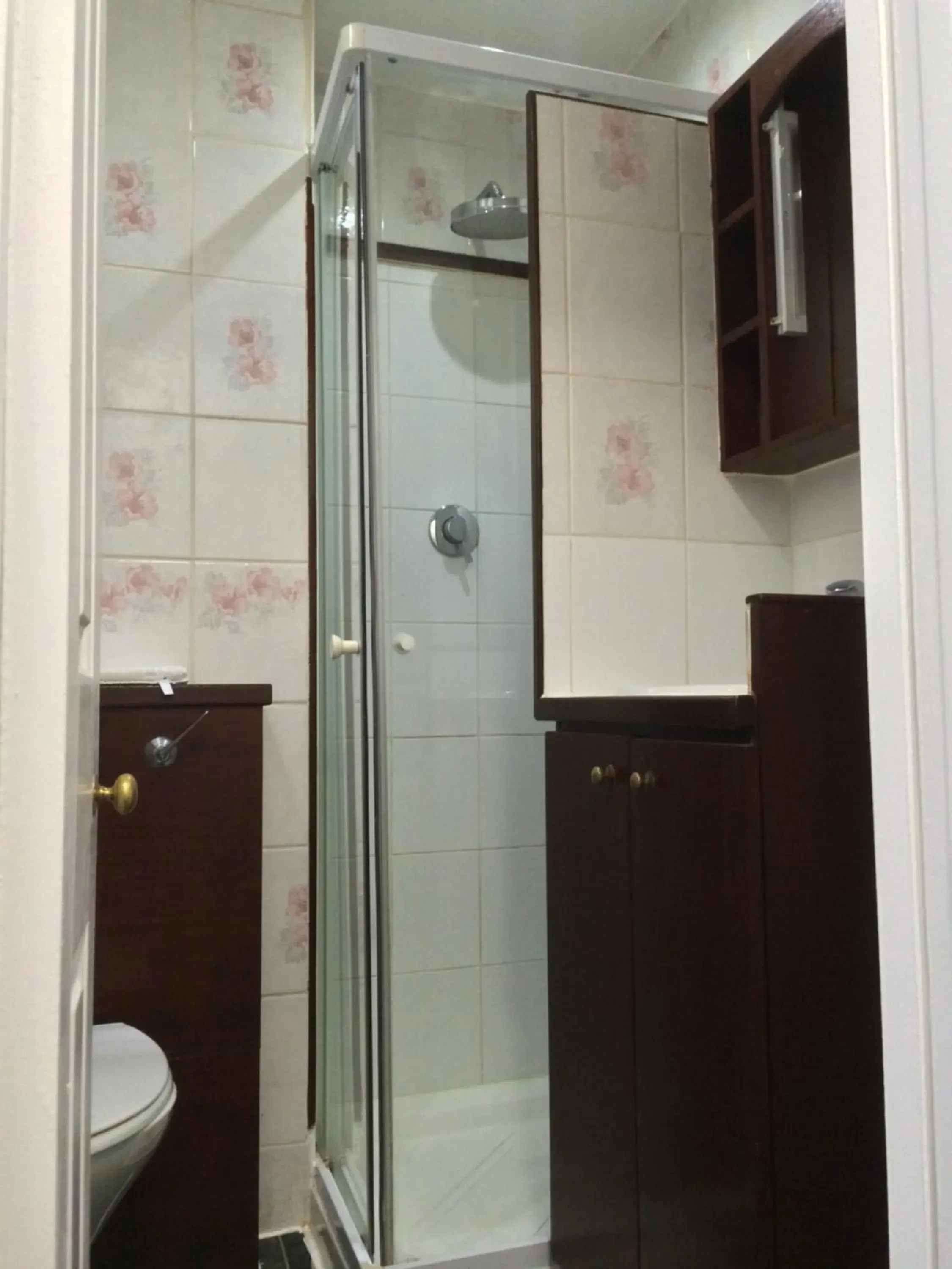 Shower, Kitchen/Kitchenette in London Continental Hotel