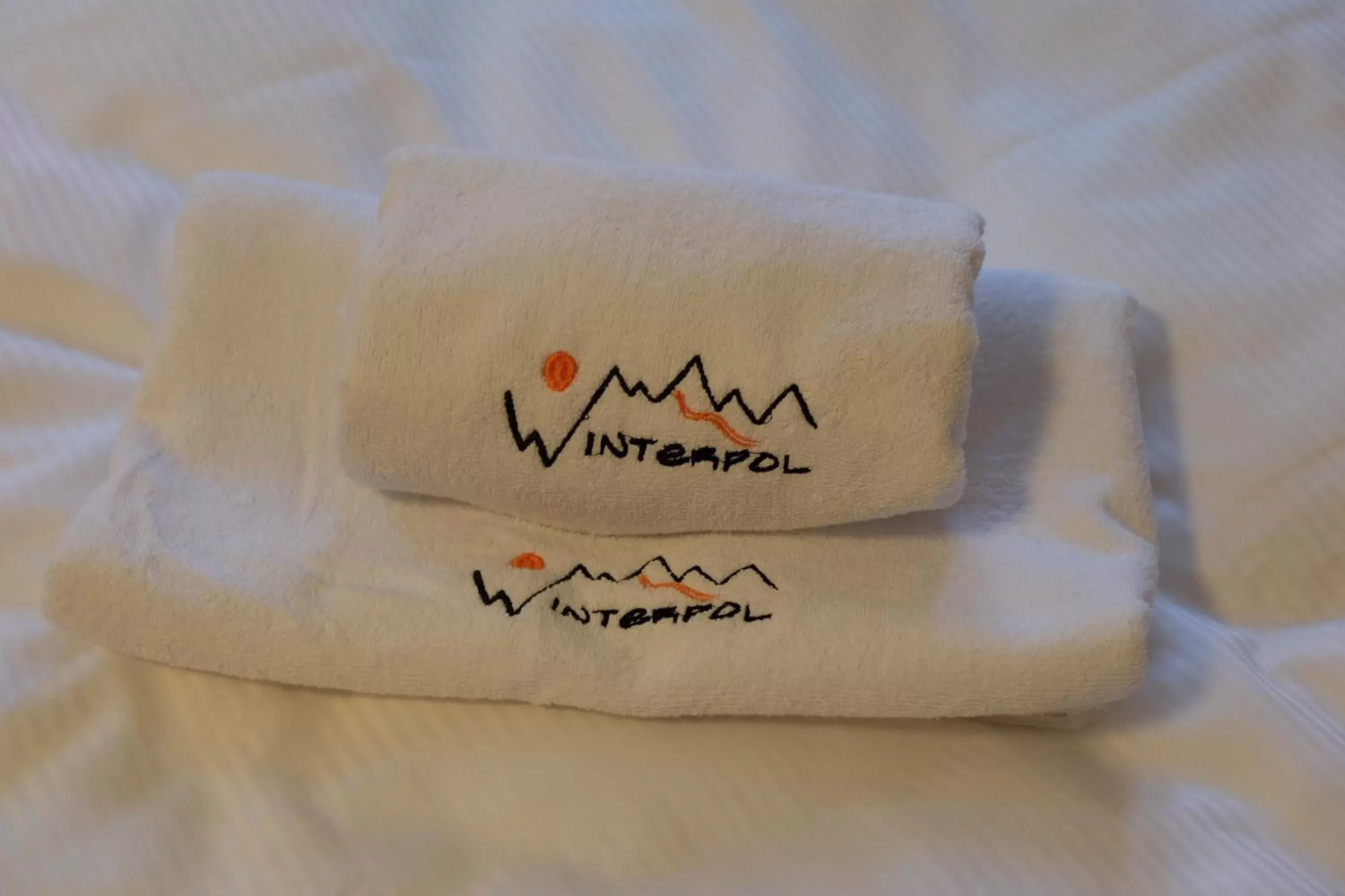 Superior Double Room in Villa Winterpol Superior Double Room in Villa Winterpol