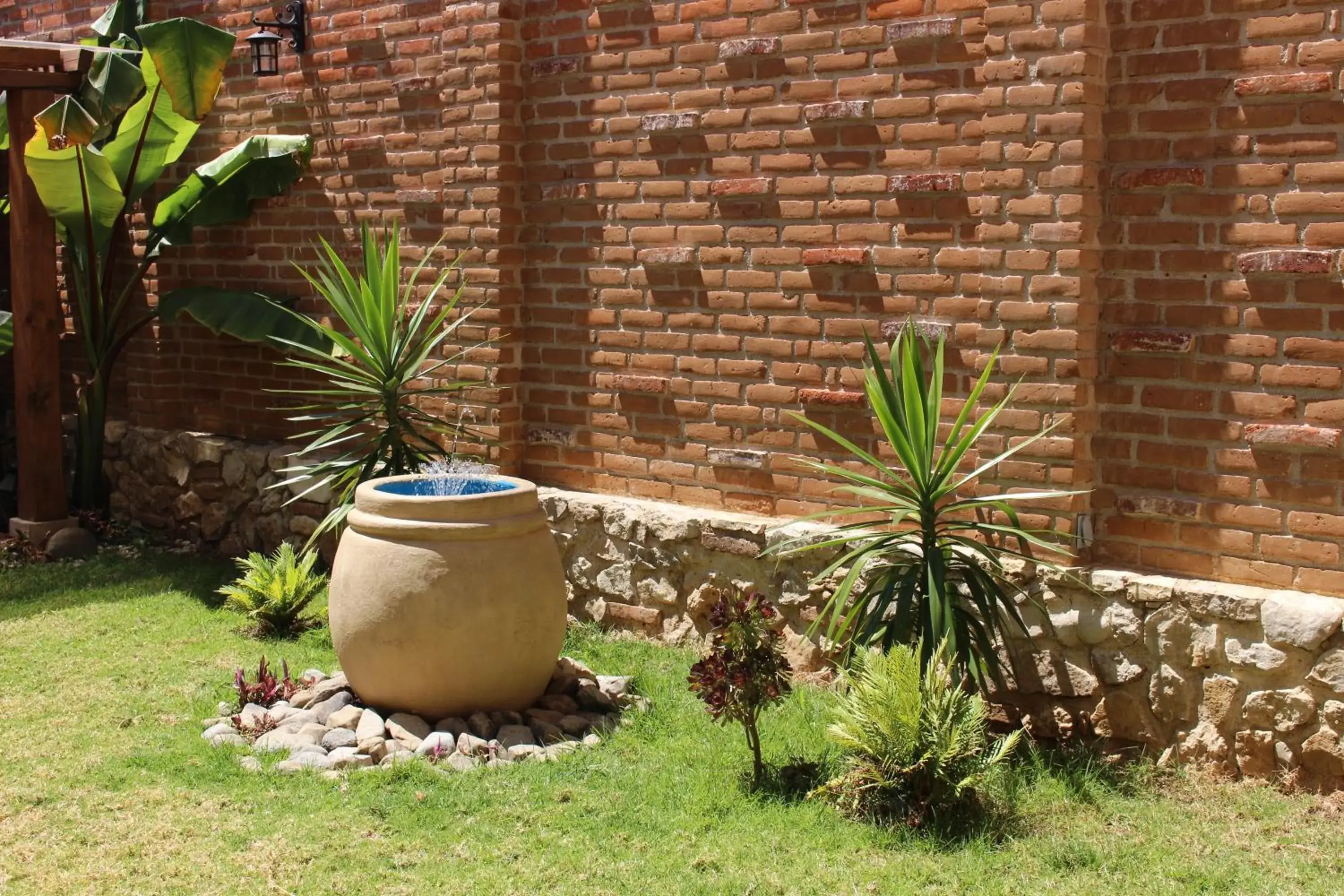 Garden in La Estancia