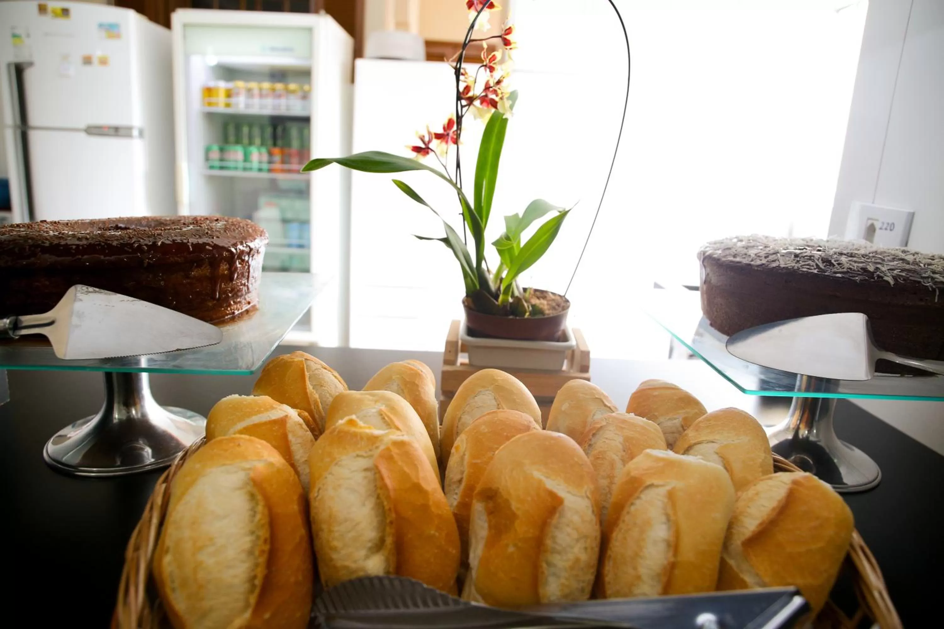 Food and drinks in Hotel Hot Brás