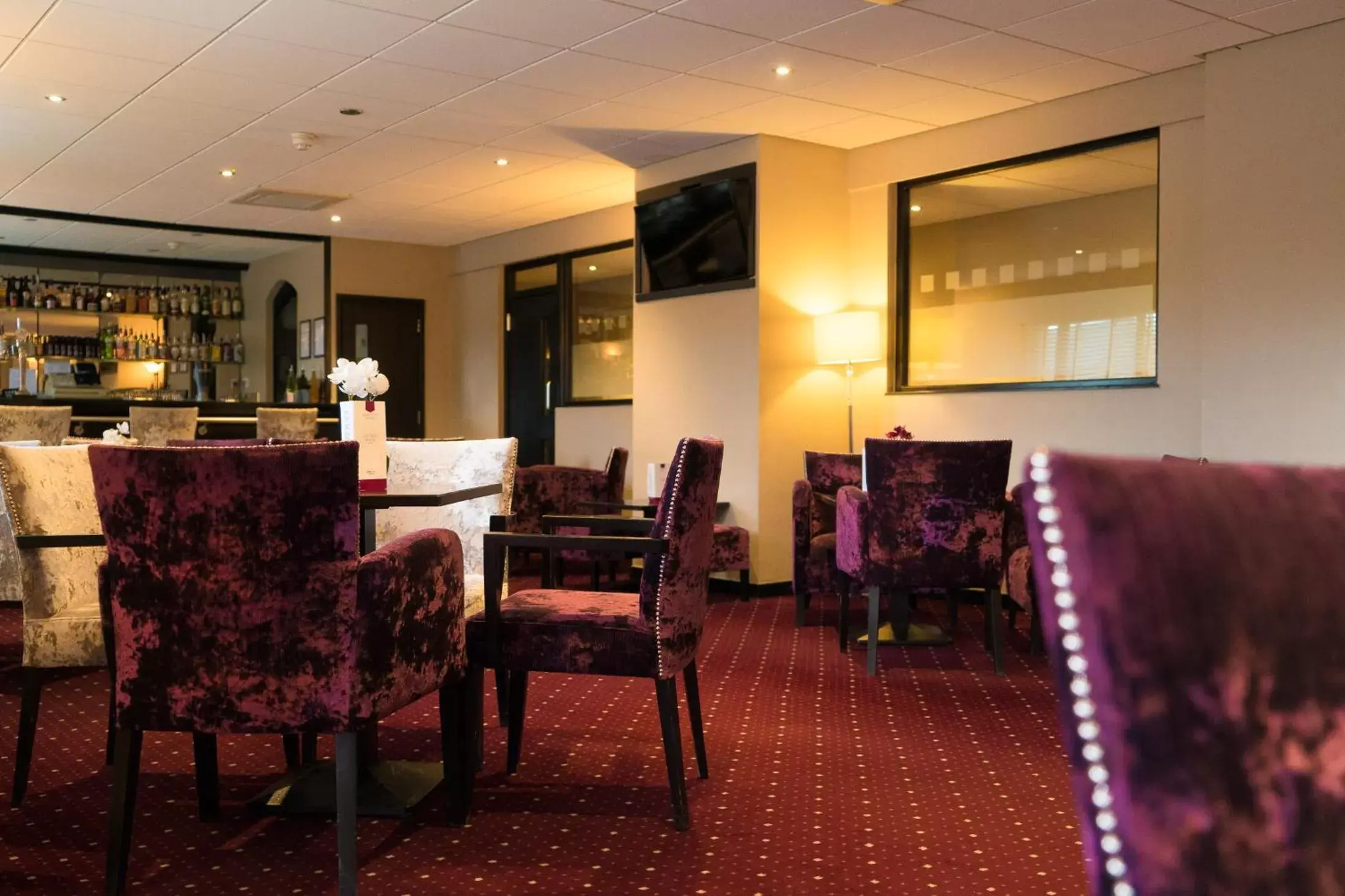 Lounge or bar, Restaurant/Places to Eat in The Briar Court Hotel