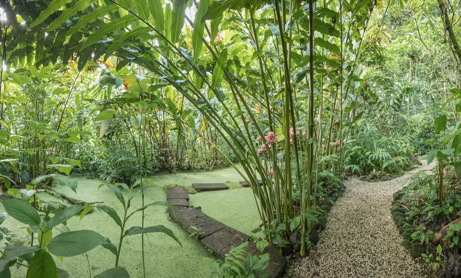 Garden in Cabañas del Rio