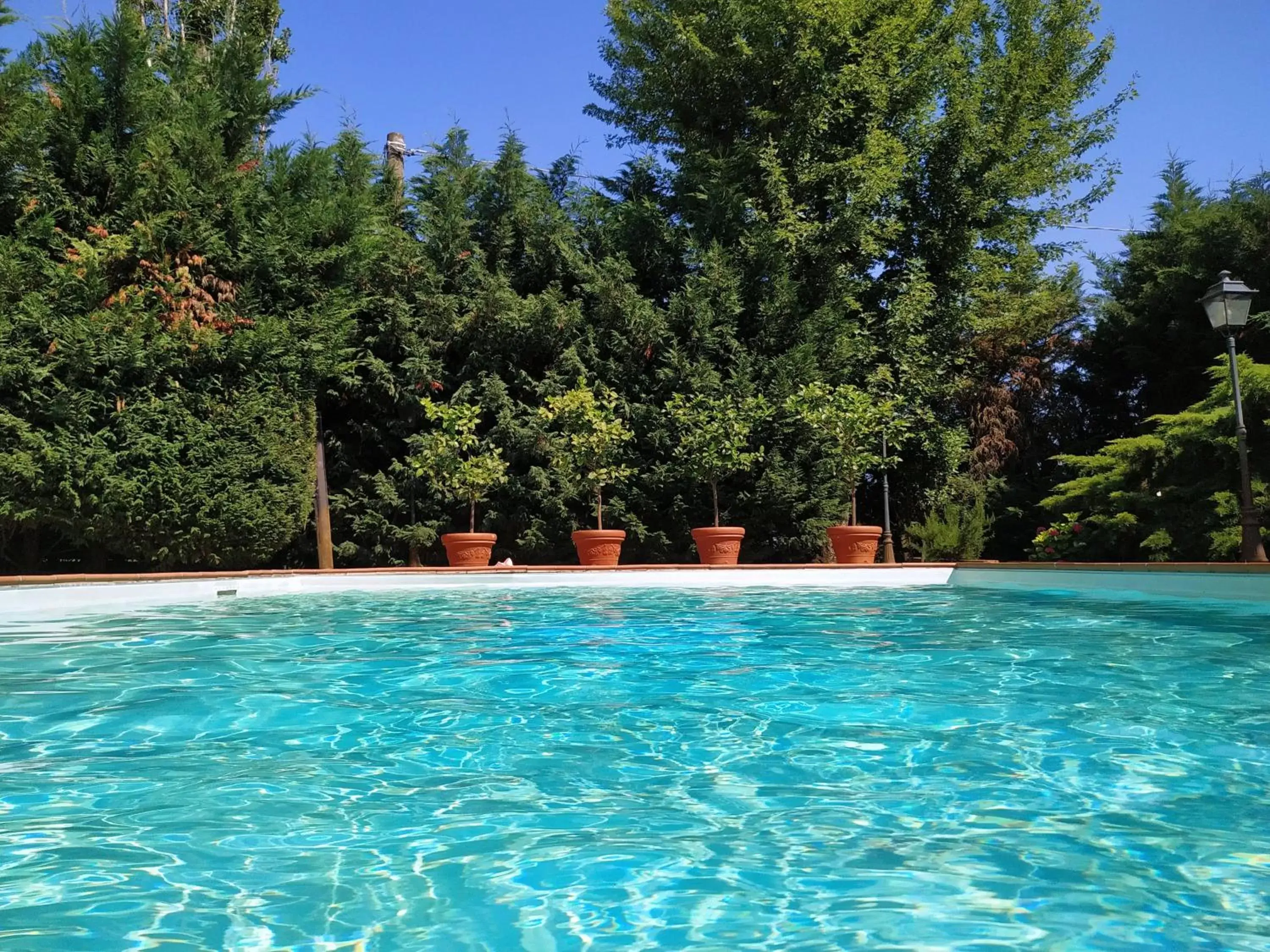 Swimming Pool in Villa delle palme B&B 5 stelle