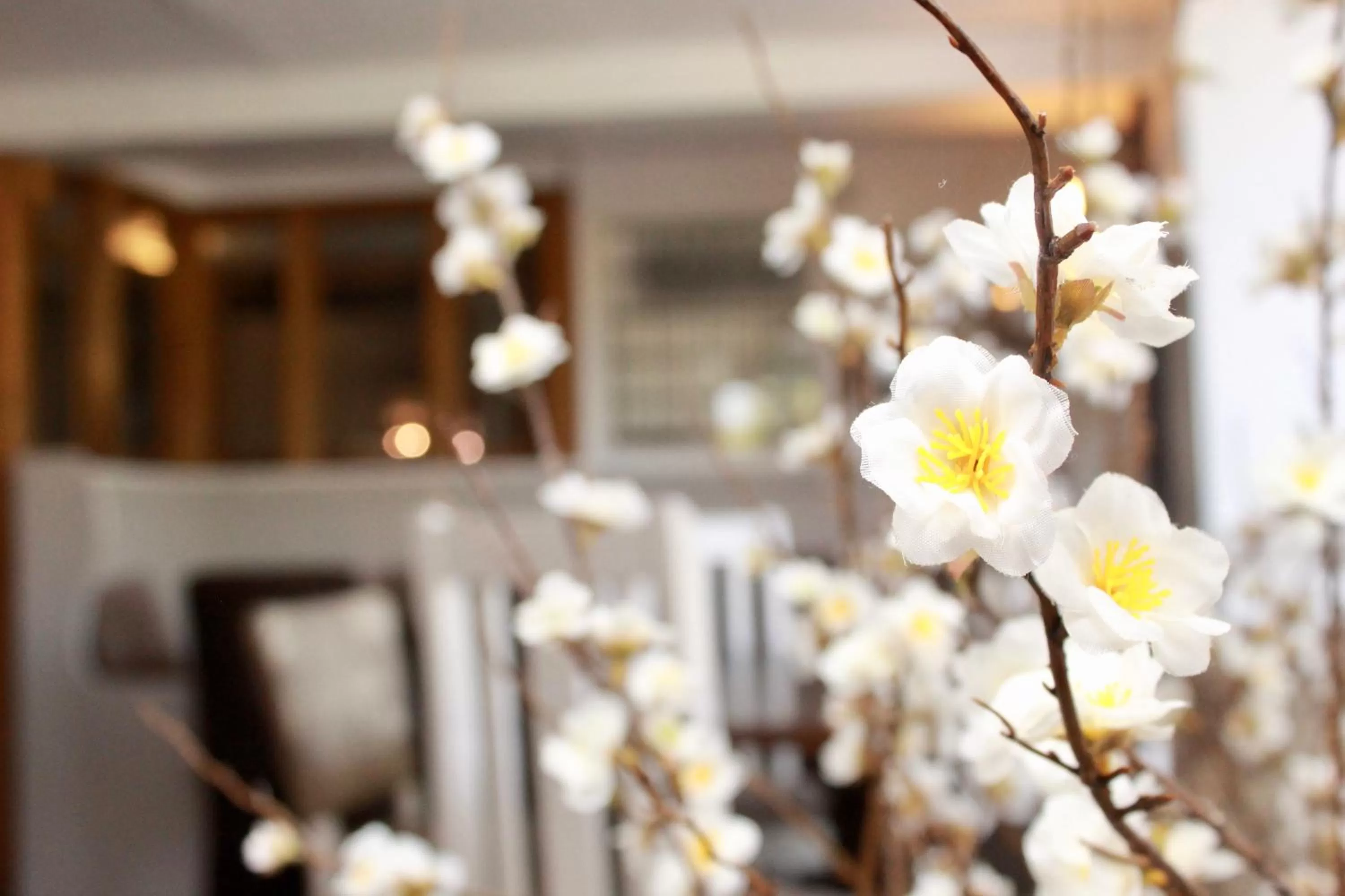 Other in Kings Head Inn