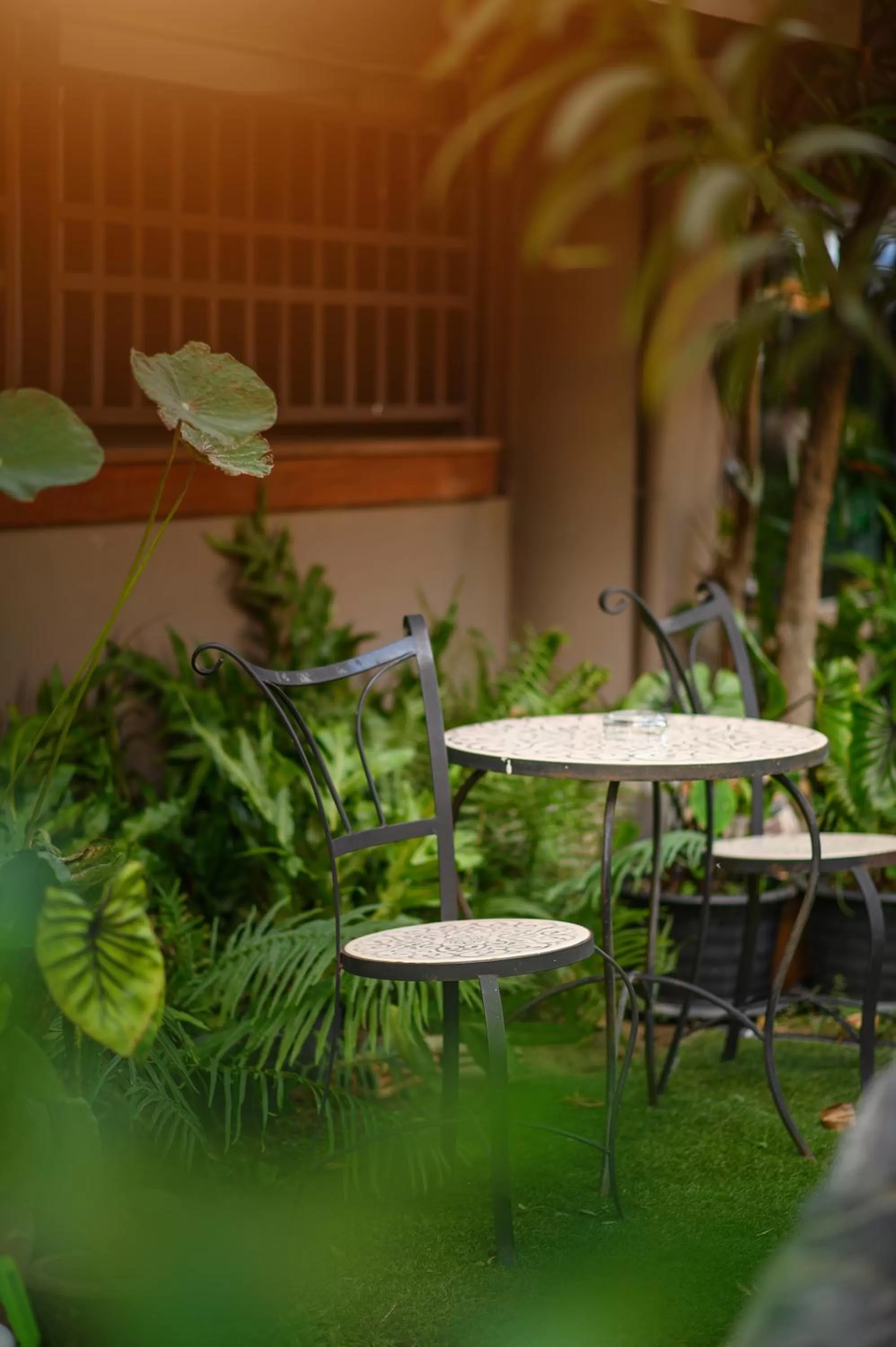 Garden in Estia Chiangmai