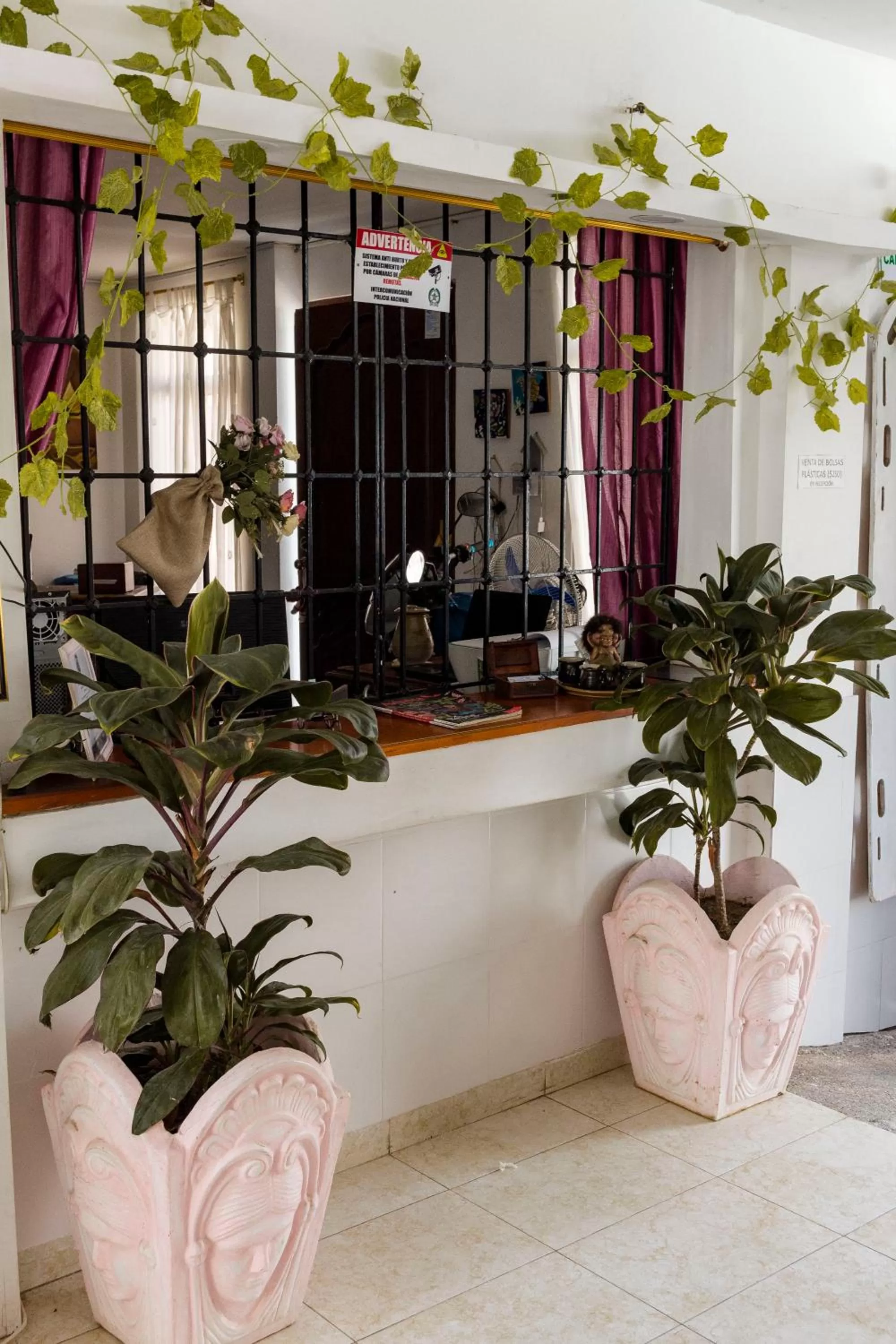 Staff, Lobby/Reception in Maria's House - Boutique Hotel