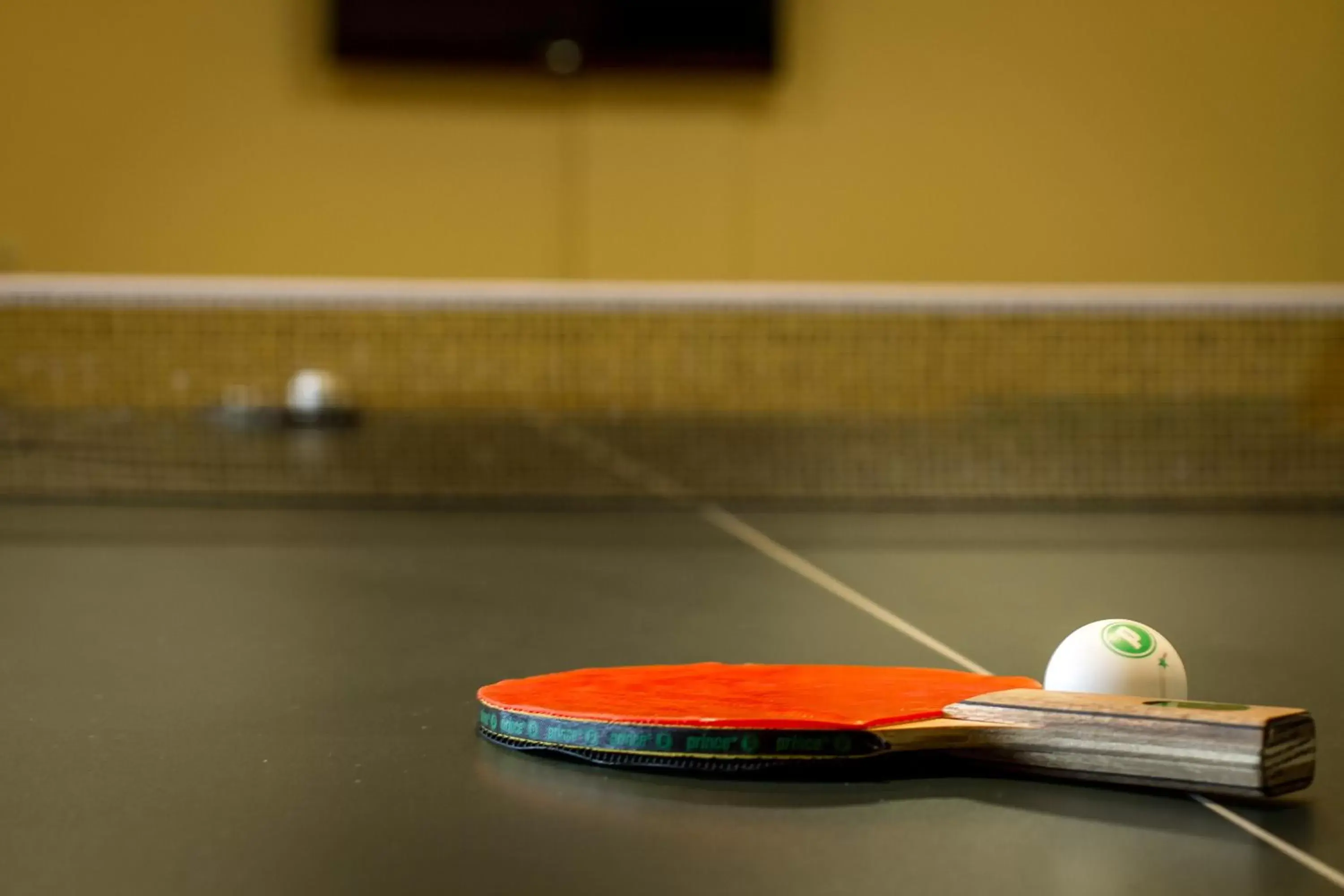 Table Tennis in Coronado Beach Resort