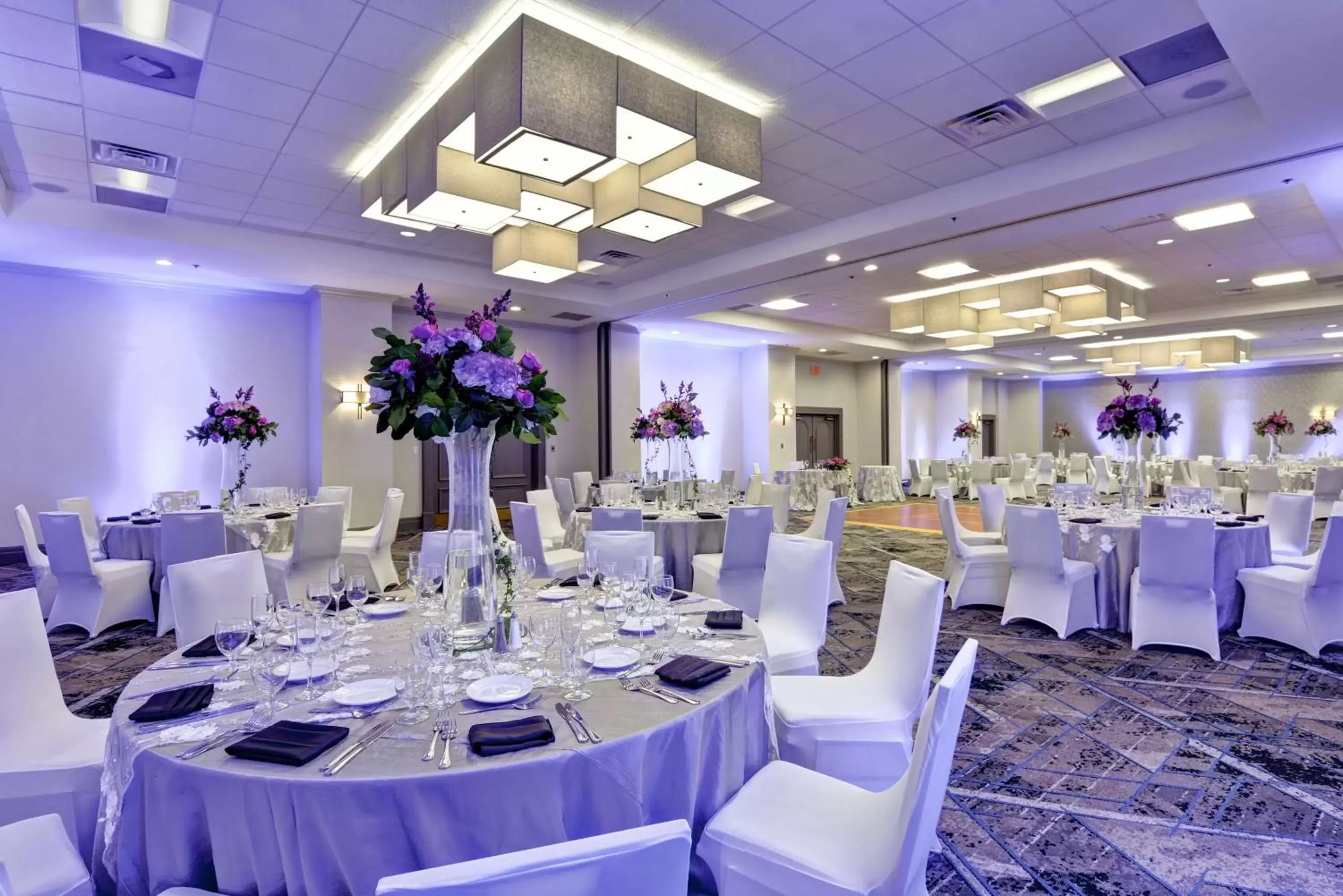 Meeting/conference room, Banquet Facilities in Embassy Suites by Hilton Miami International Airport