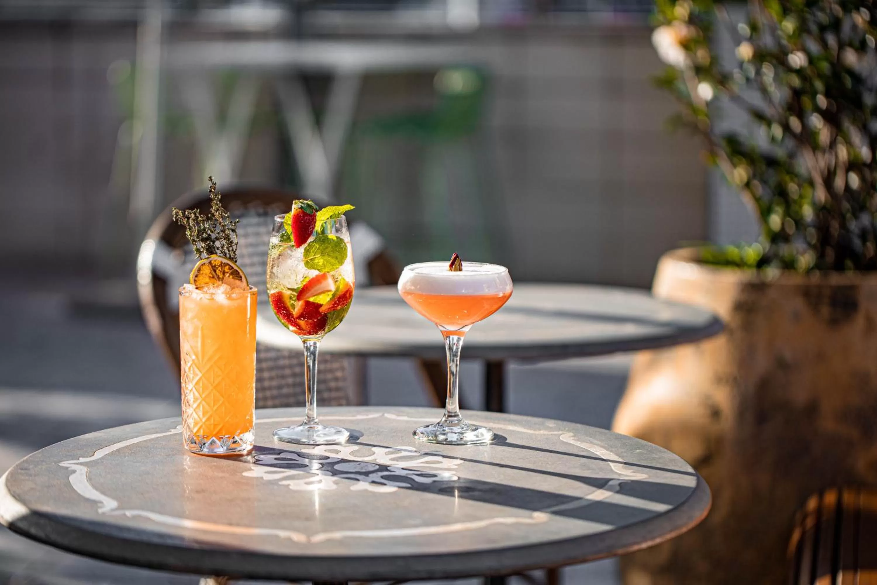 Restaurant/places to eat in The Island Gold Coast