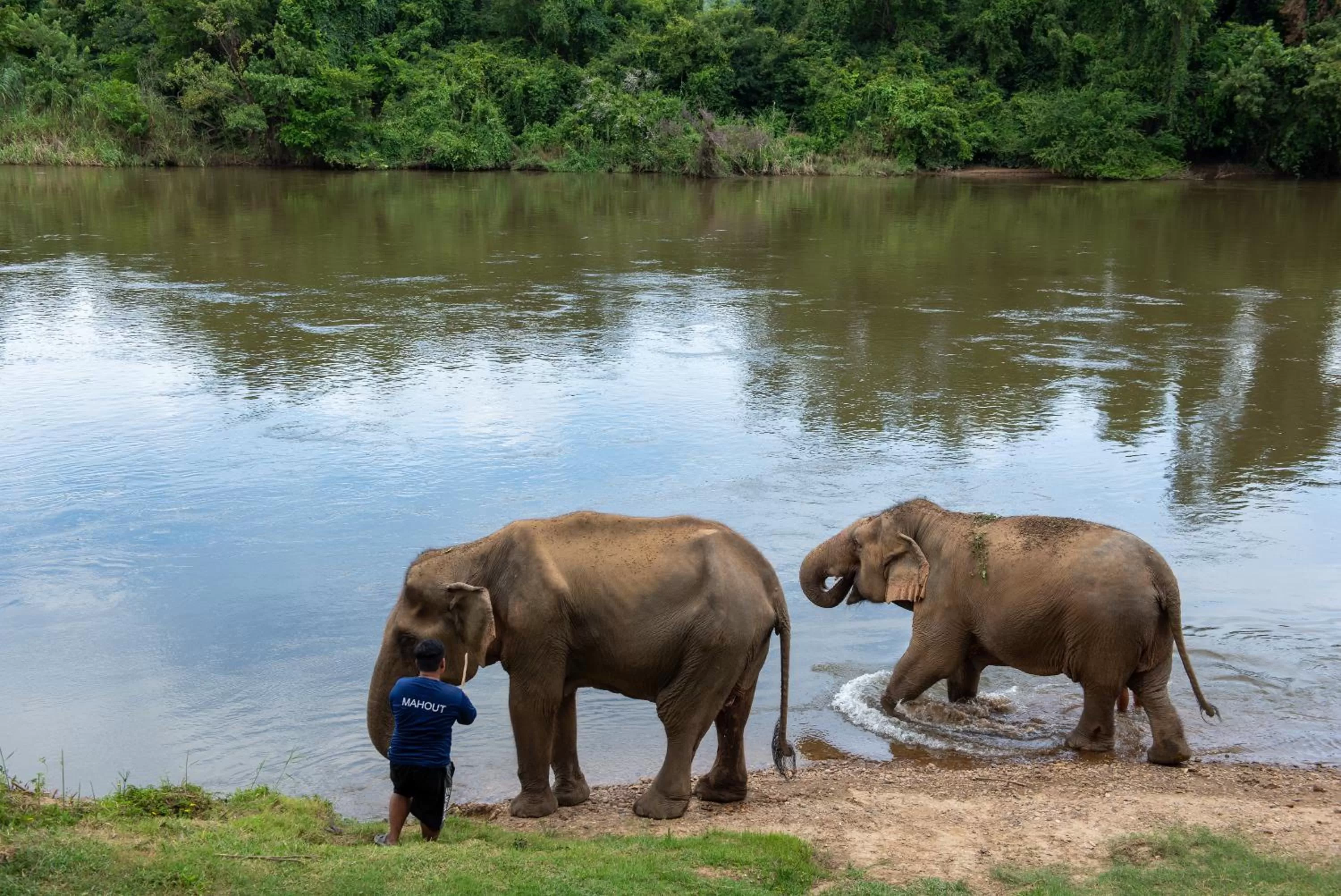 Activities in The Legacy River Kwai Resort