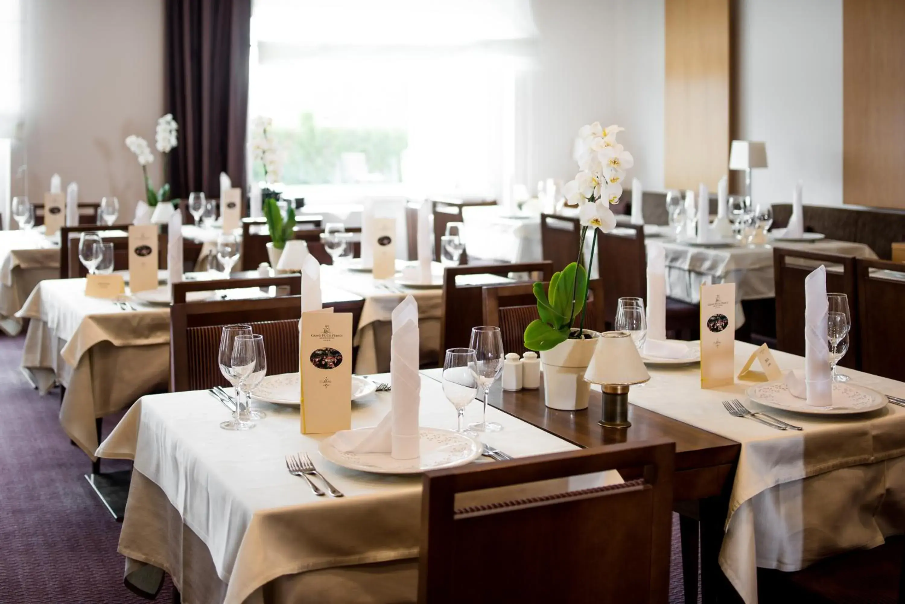 Restaurant/Places to Eat in Grand Hotel Primus - Terme Ptuj - Sava Hotels & Resorts