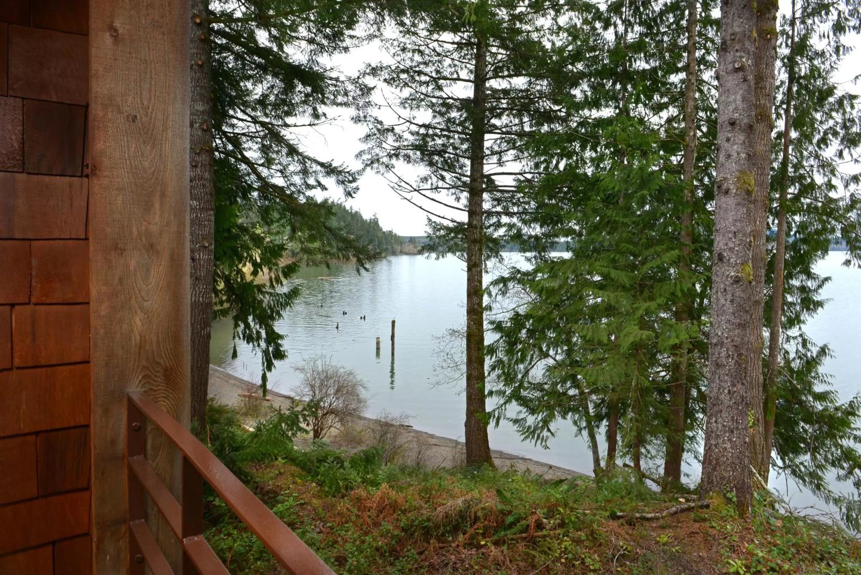 Balcony/Terrace in Lake Quinault Lodge