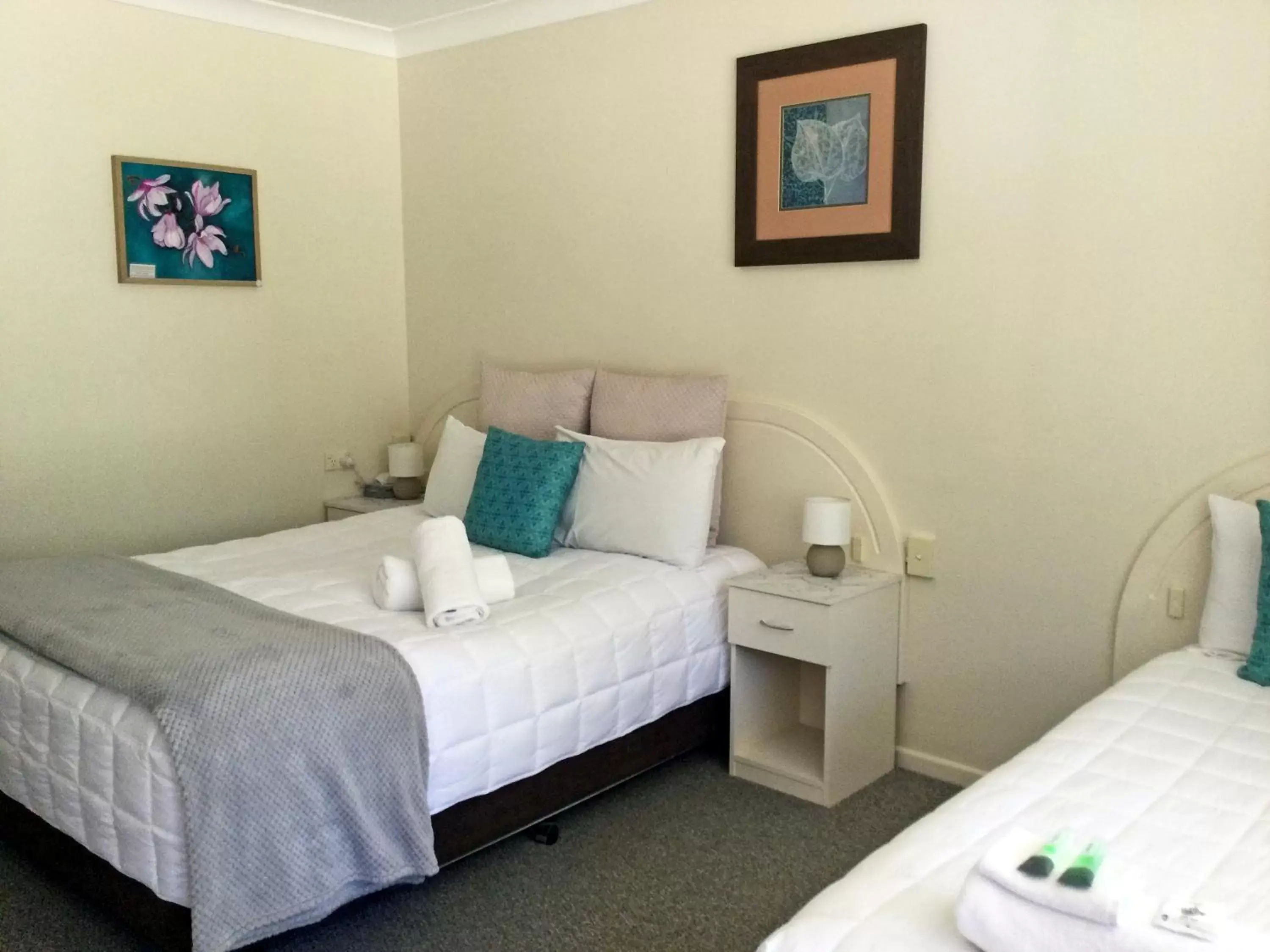 Guests, Bed in Alstonville Settlers Motel