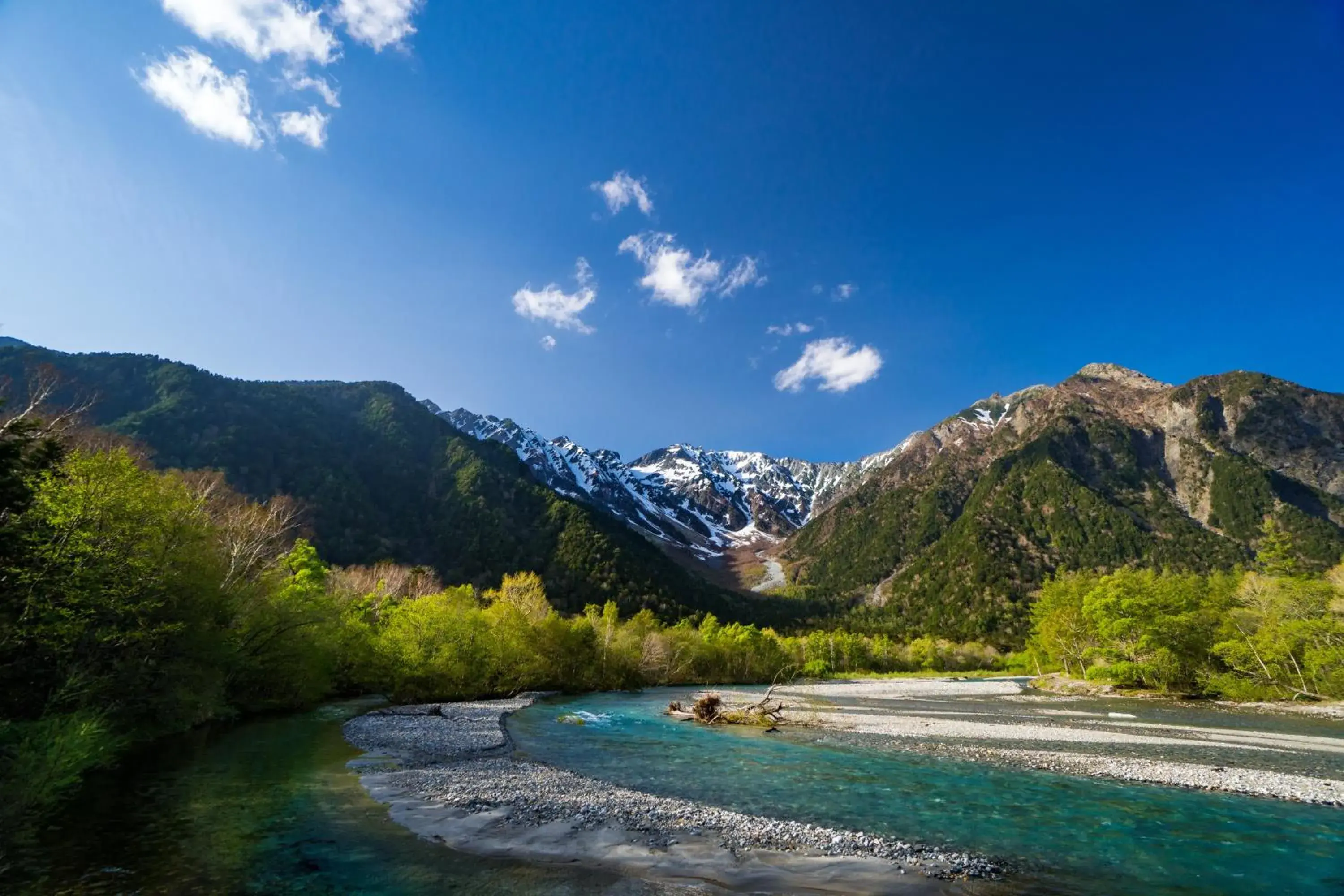 Natural Landscape in Royal Hotel NAGANO